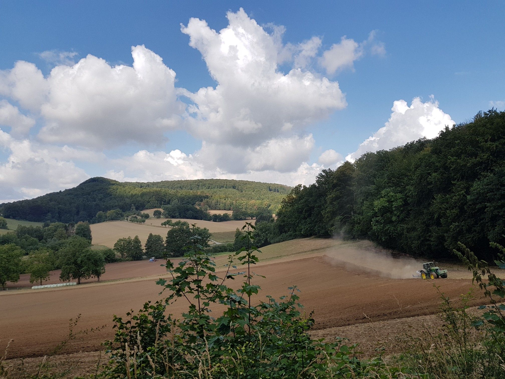 Es staubt, doch die gepflügte Erde sah feucht aus
