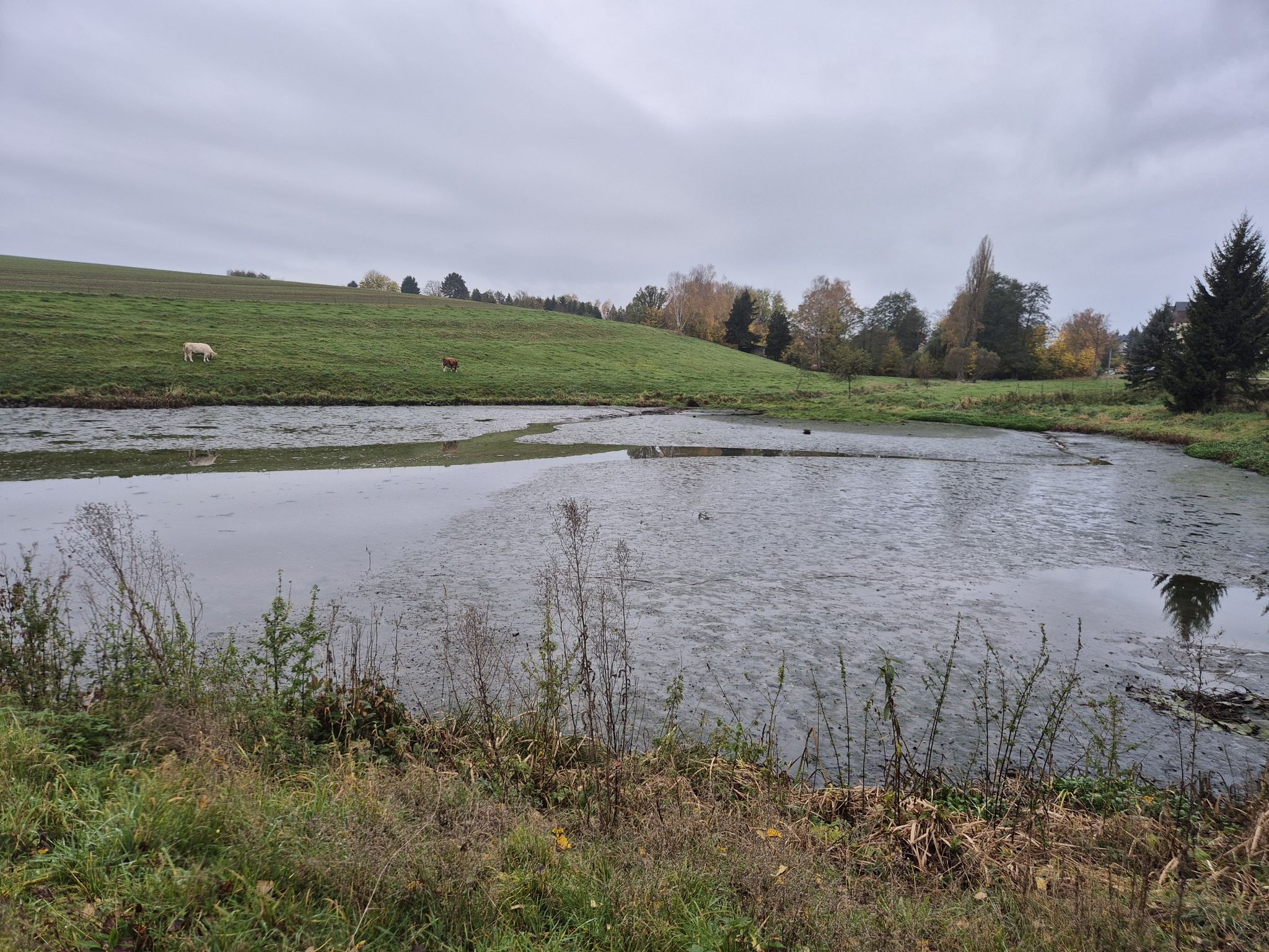 Volksbegehren in Köthensdorf