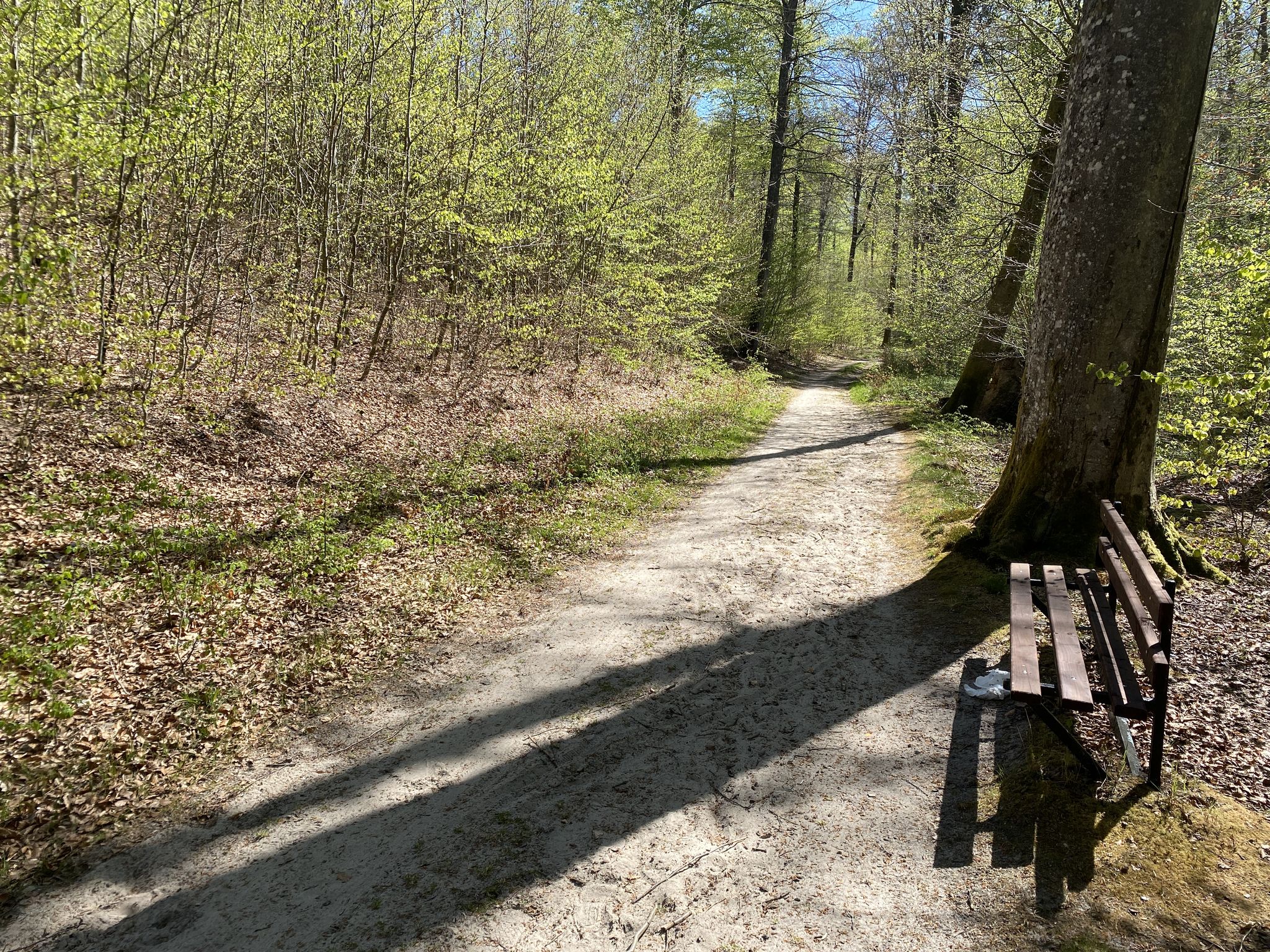Dobra ścieżka i ławeczki - piękny fragment trasy, zadbany.