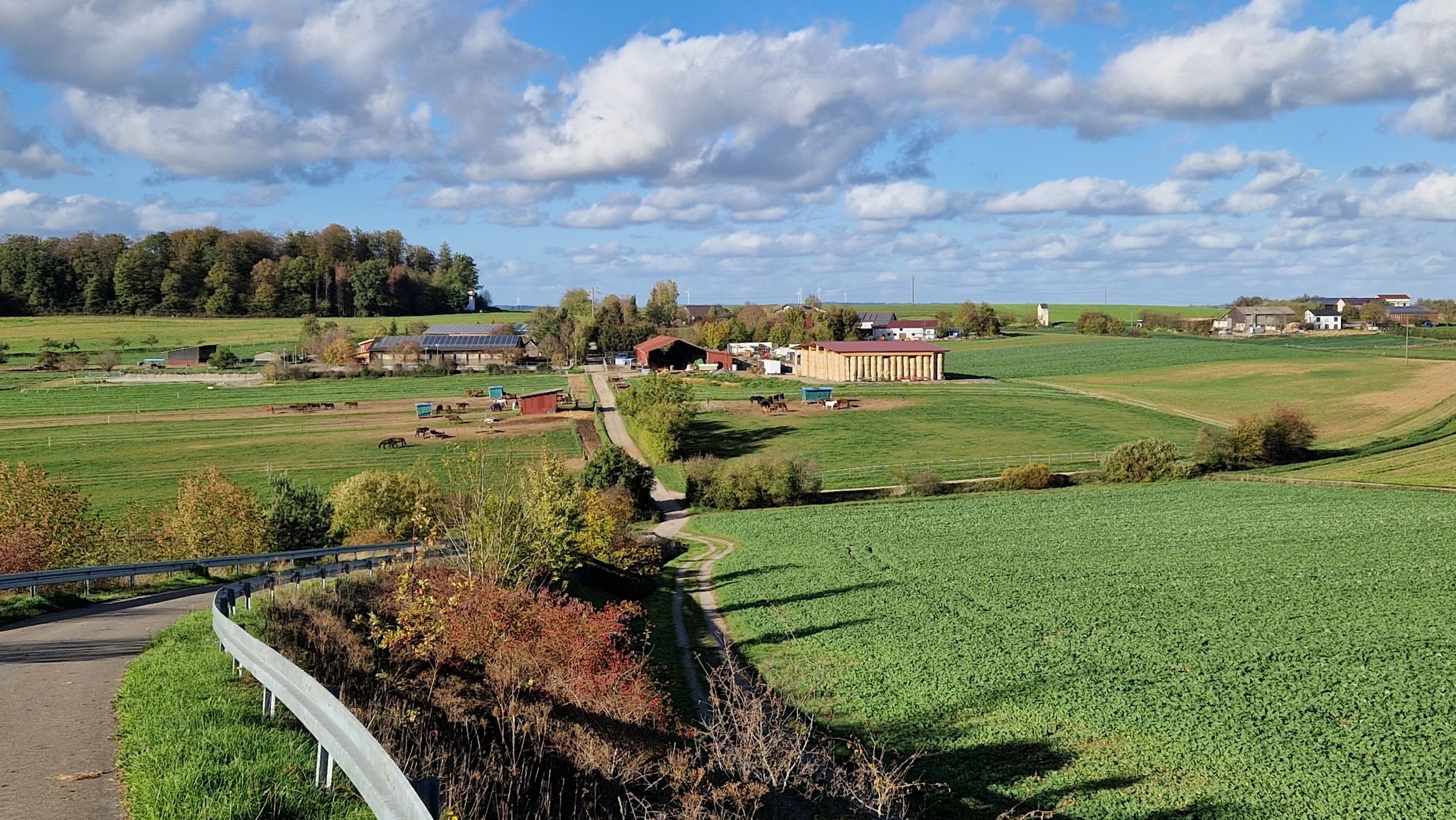 Blick zum Limesturm