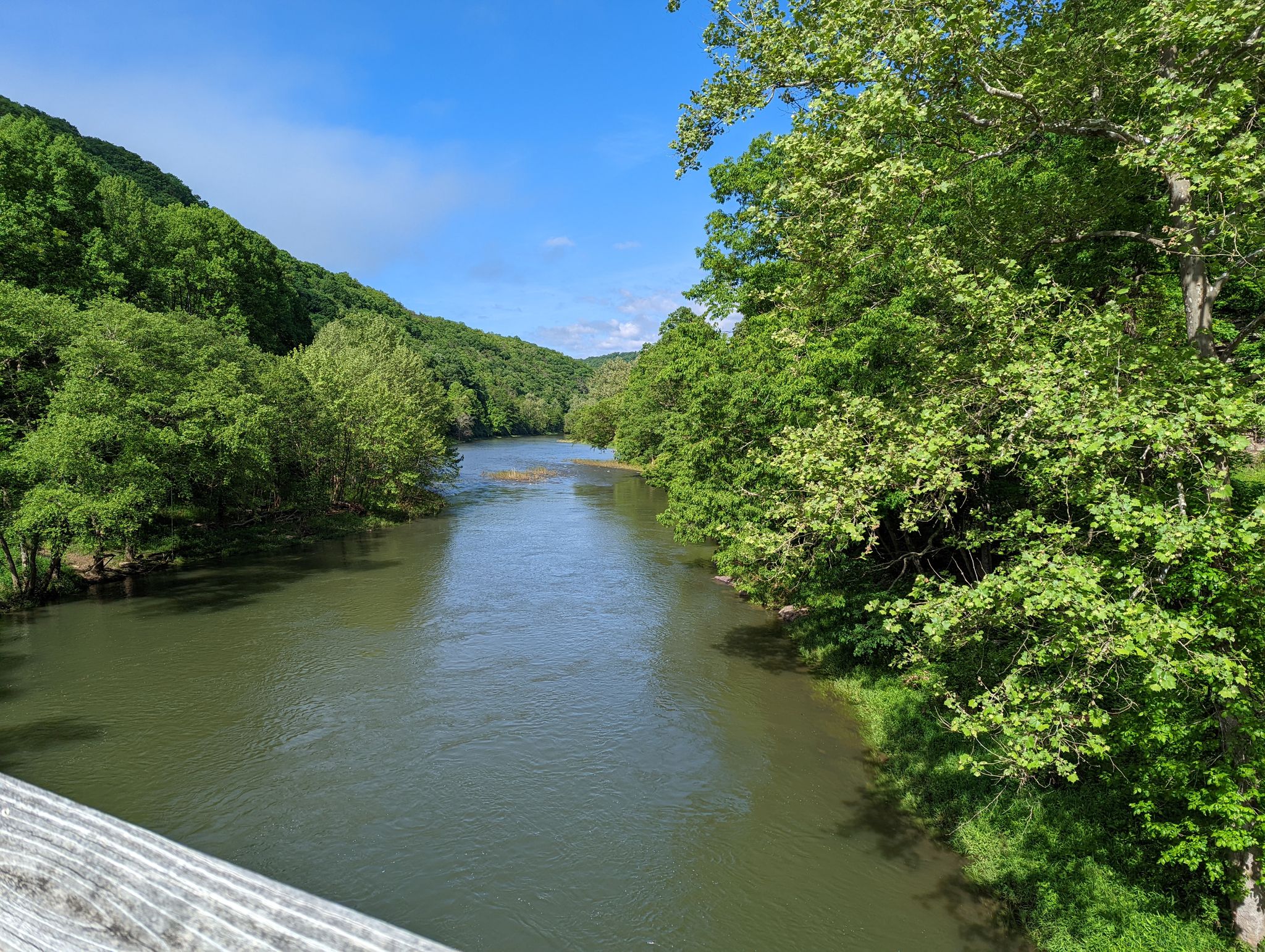 A wide river flows through a lush green valley on a sunny day. - Sharps Tunnel and Bridge – Marlinton Depot loop from Seven Mile Campground