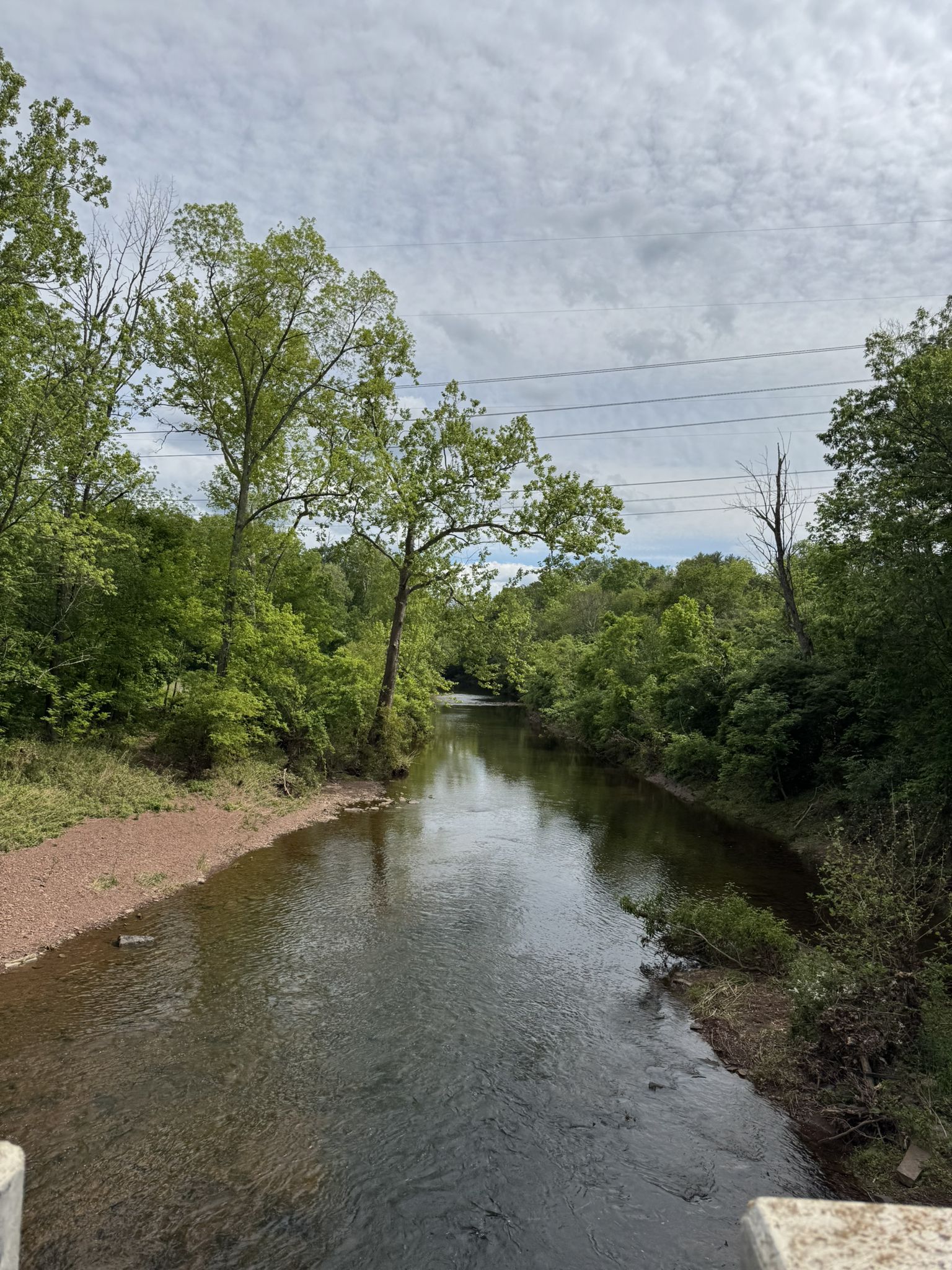 A calm river flows through a green forest under a cloudy sky. - Wissahickon Waterfowl Preserve loop from Ambler