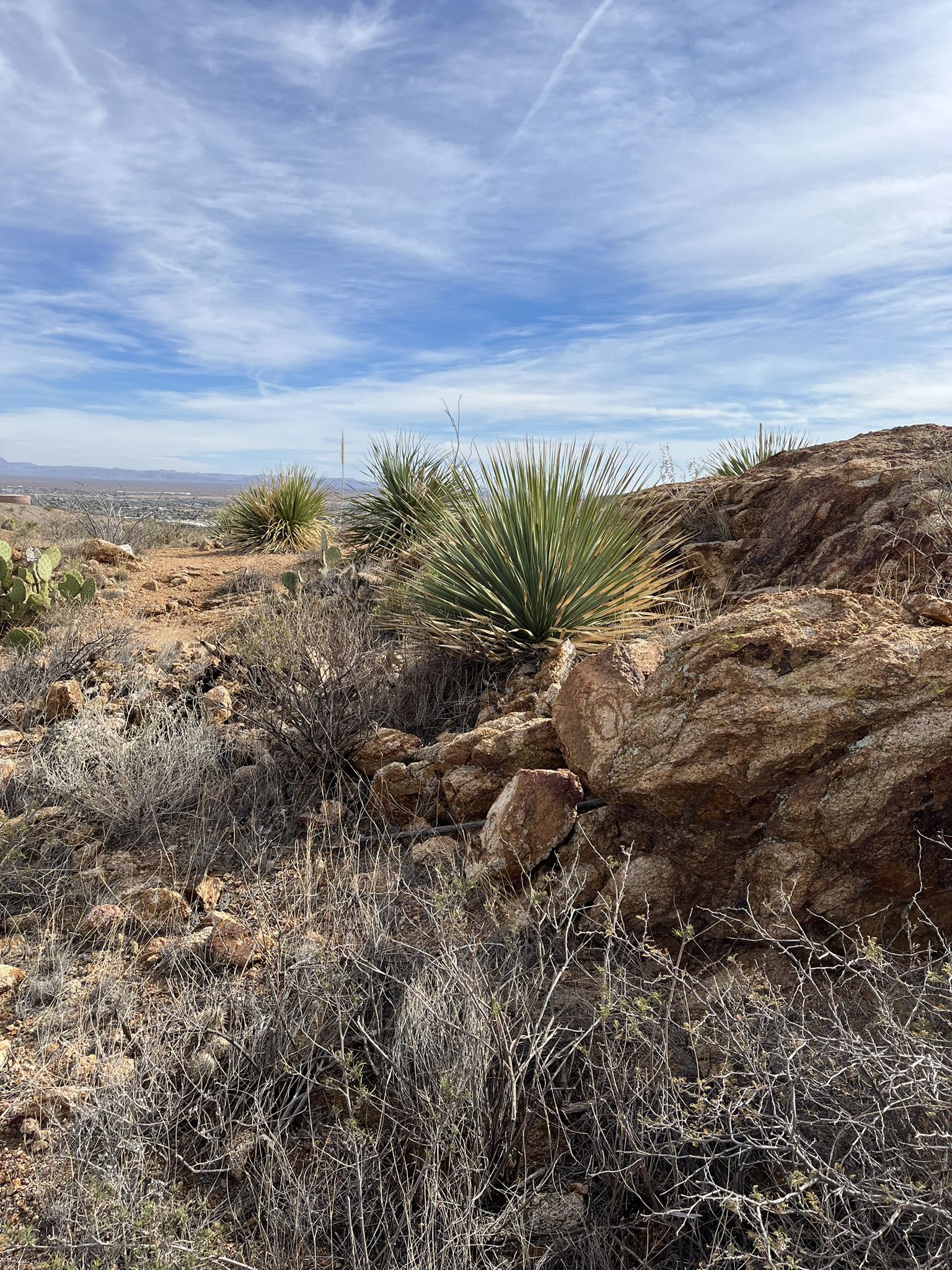 Desert plants and rugged rocks under a partly cloudy sky. - El Paso Tin Mines Trail