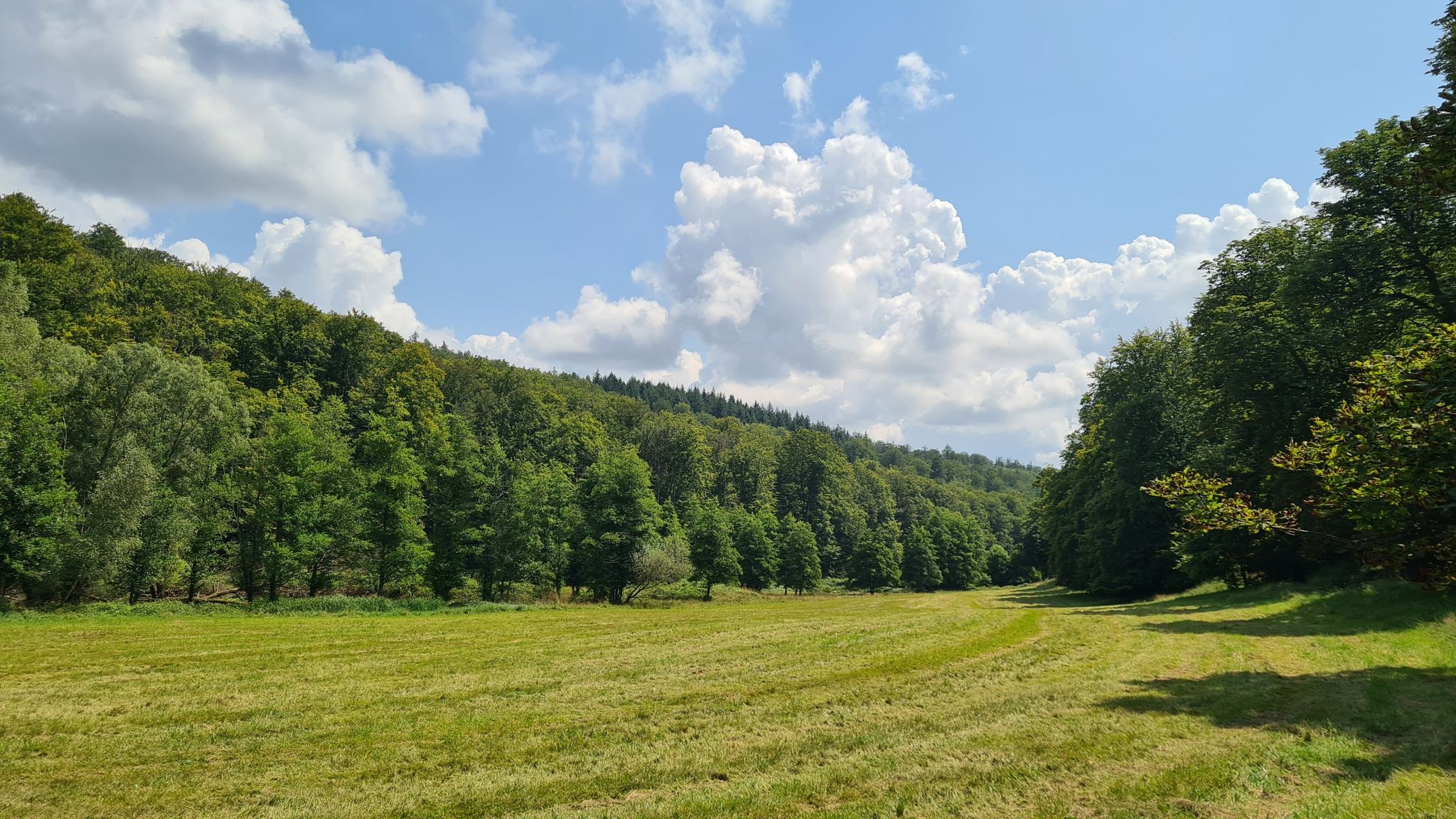 Kropfbachtal 🥰