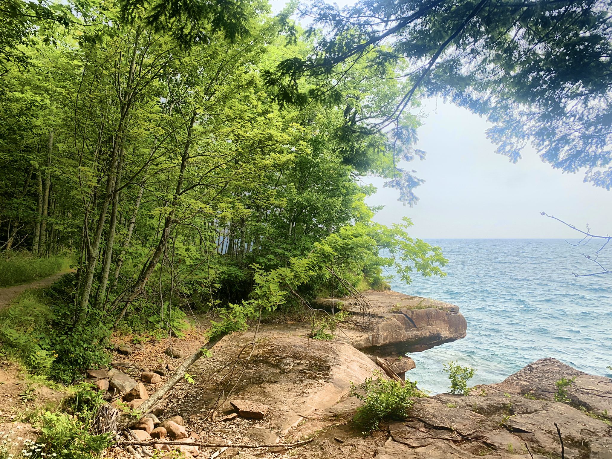 Overcast view of a dense forest next to rocky cliffs and water. - Hiking loop from Big Bay Point