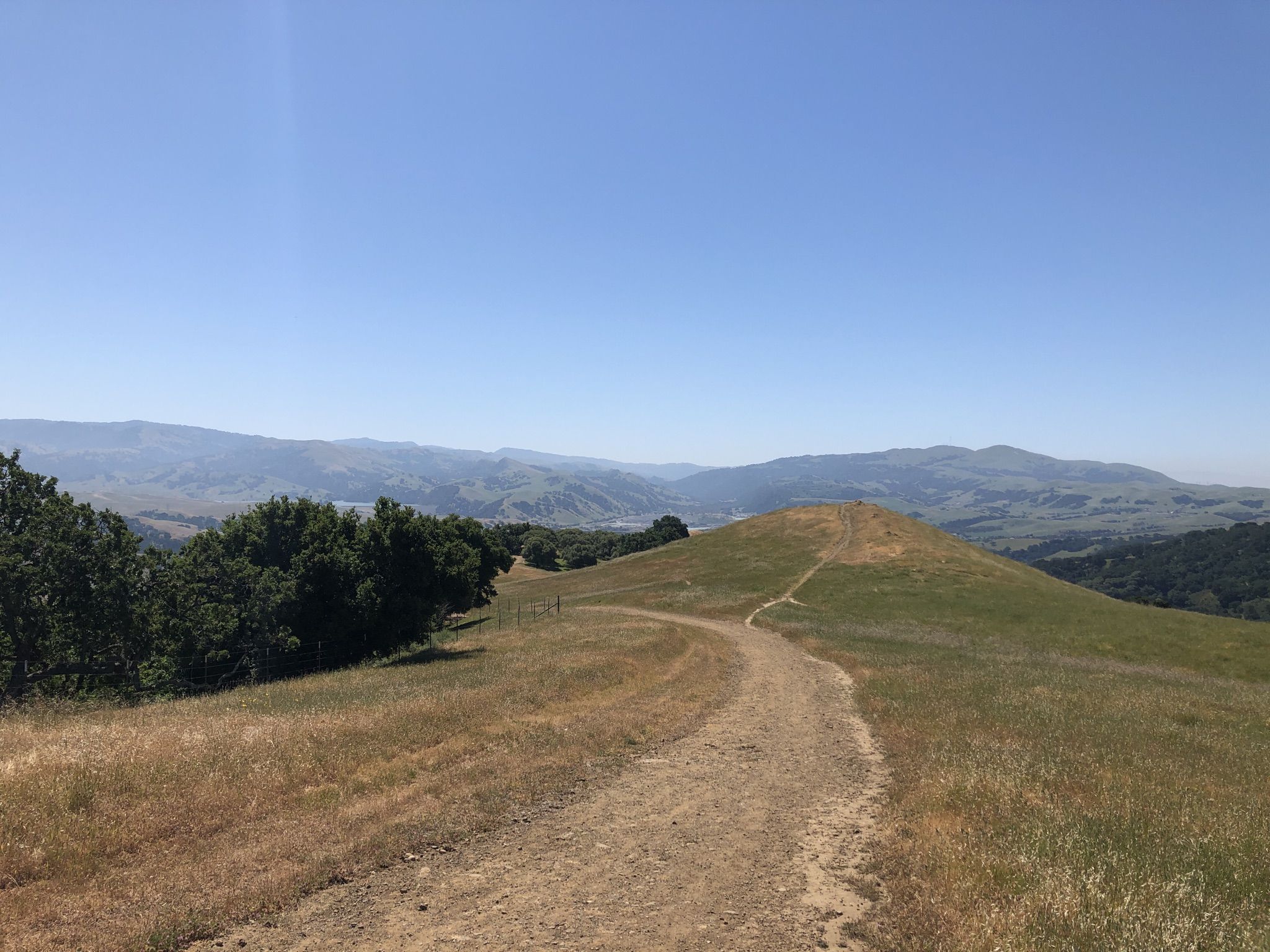 Dirt trail winding up a golden grassy hill under a clear blue sky. - Thermalito, Ridgeline, and Oak Tree Trail Loop