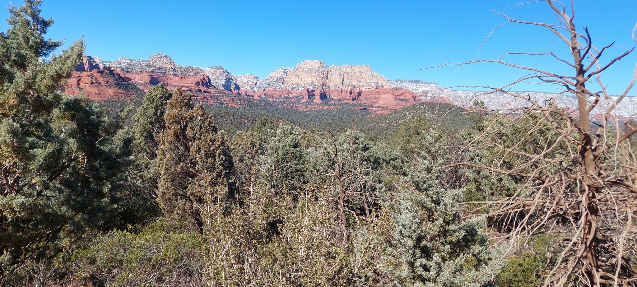 Panoramic view of red rock mountains and green desert trees under a clear sky. - Thunder Mountain Road Bike Route