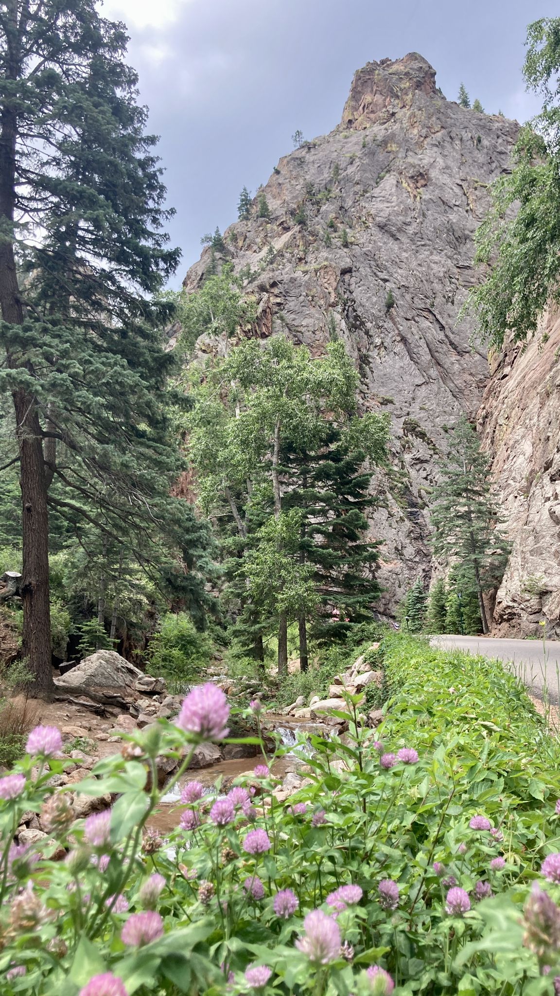 Pink wildflowers bloom by a stream, with a towering rocky mountain and trees. - Seven Falls to Inspiration Point
