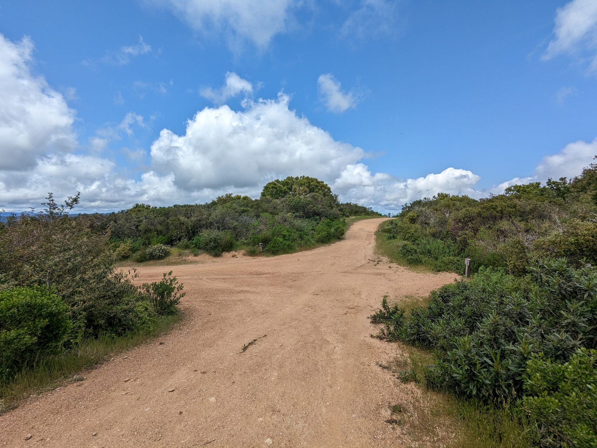 A wide dirt path forks under a bright blue sky with fluffy clouds. - Limekiln, Priest Rock and Kennedy Trail