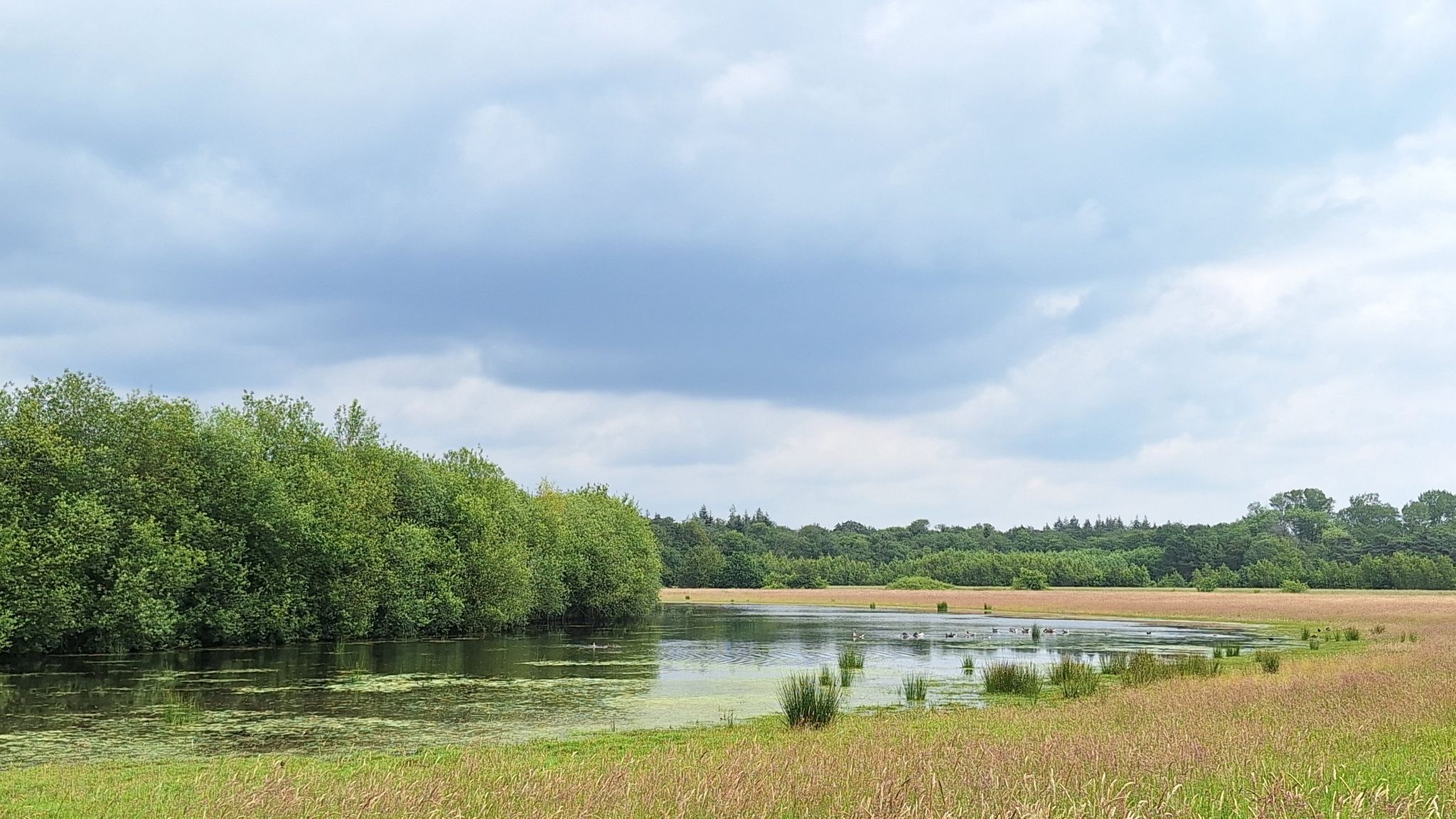 Zicht op klein ven Strijbeekse Heide
