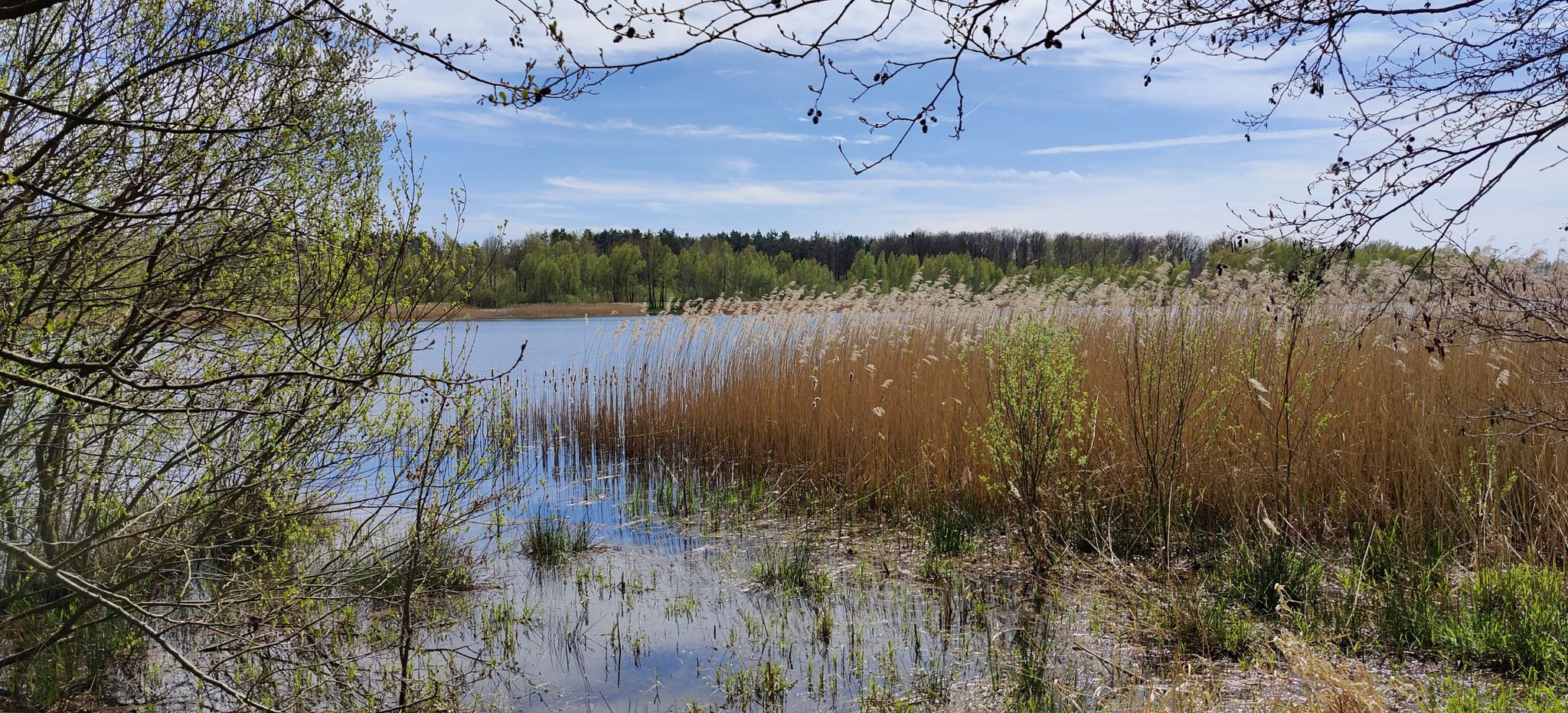 Stausee Walroda