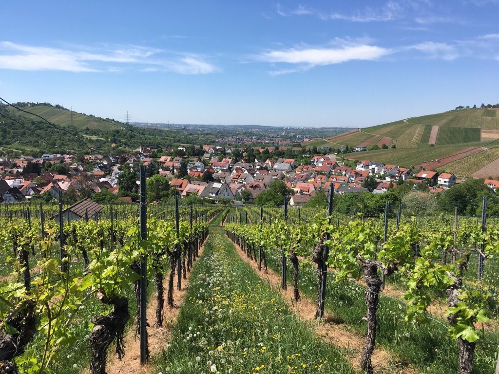 Blick auf Schnait