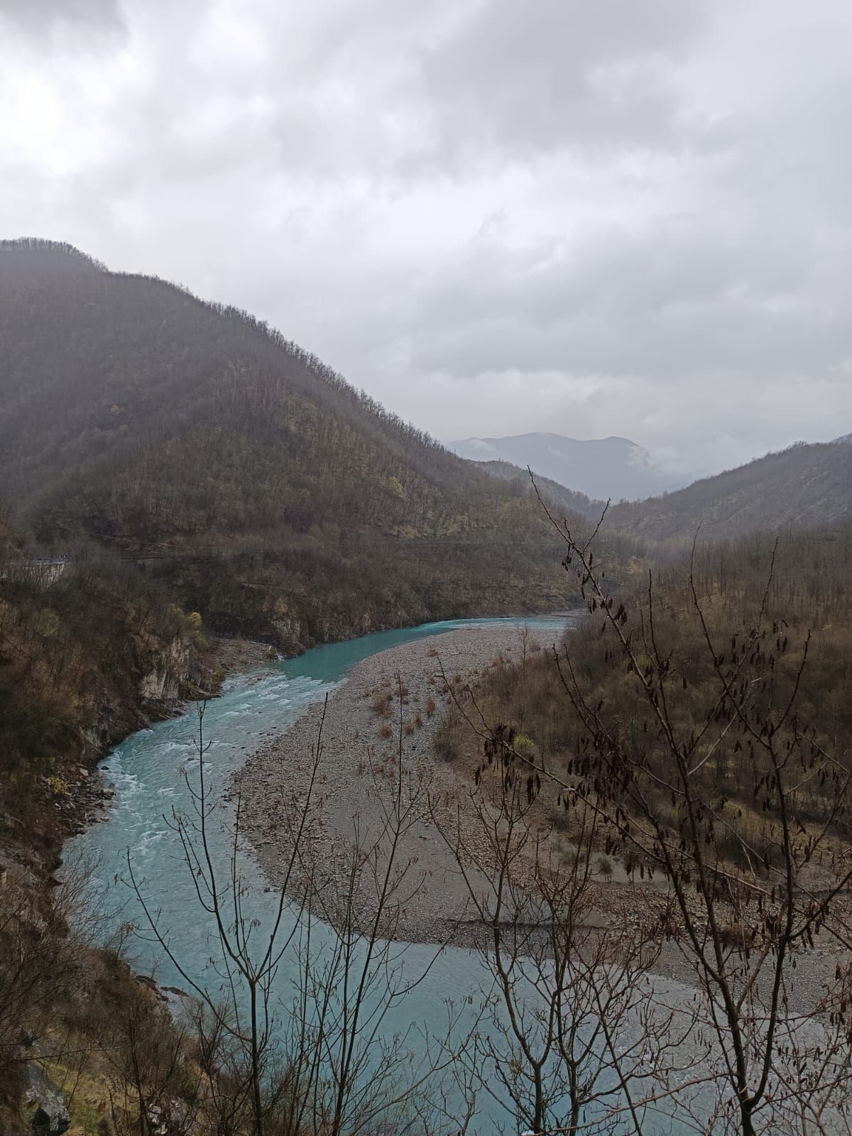 Trebbia