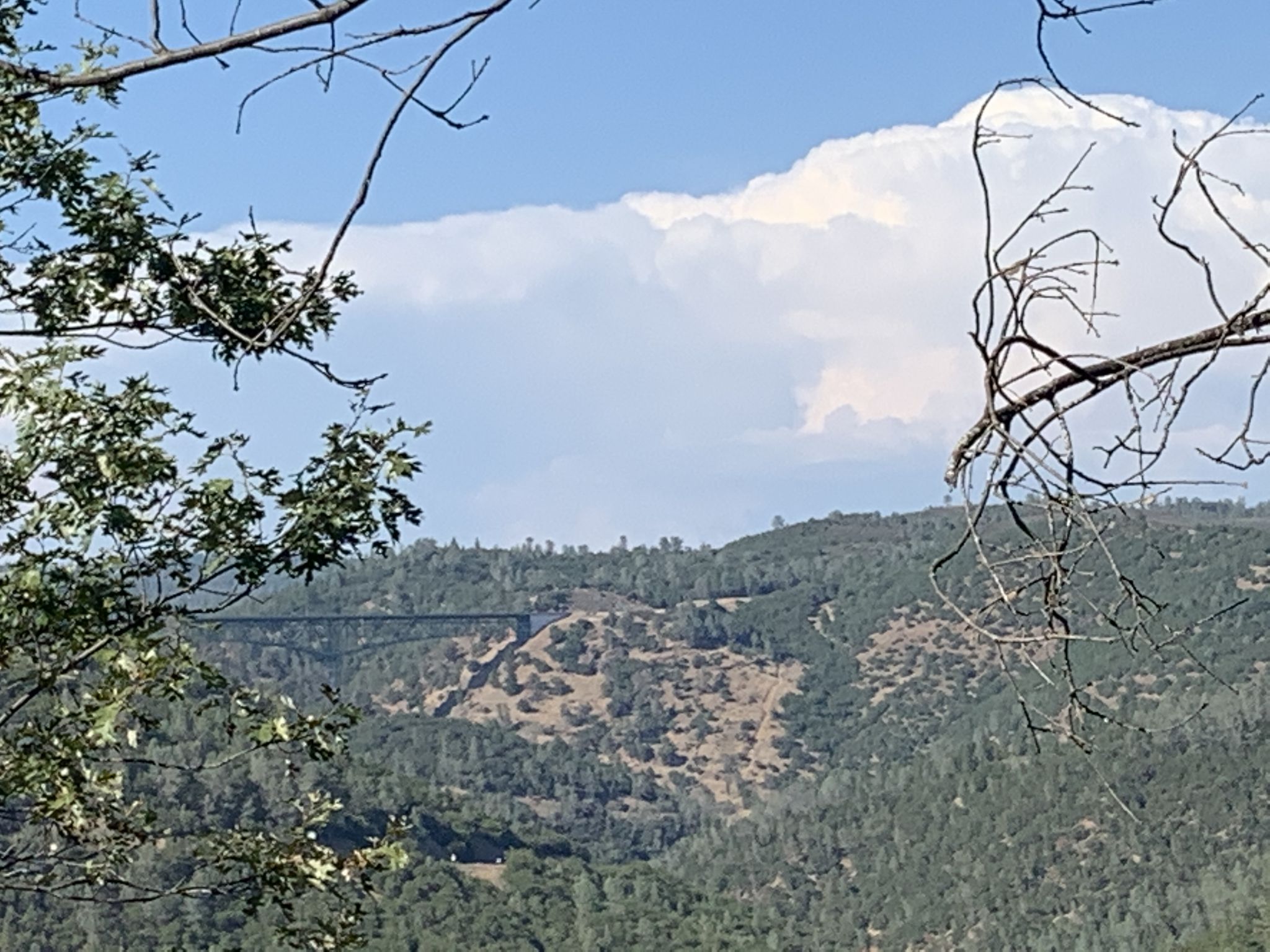 Distant bridge spans a forested valley under a large white cloud. - Robie Point and Western States Trail Loop
