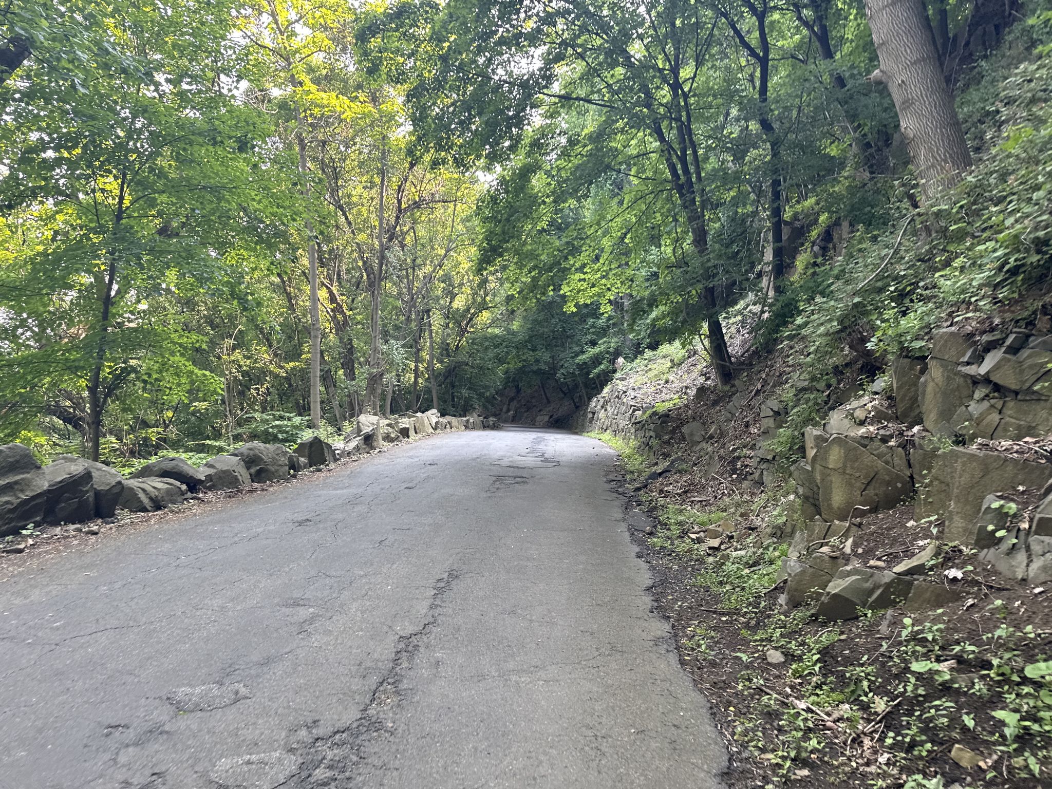 Paved road winding through a dense green forest with rocky slopes. - River Road to GWB Climb – Port Imperial Waterfront loop from West Side Avenue
