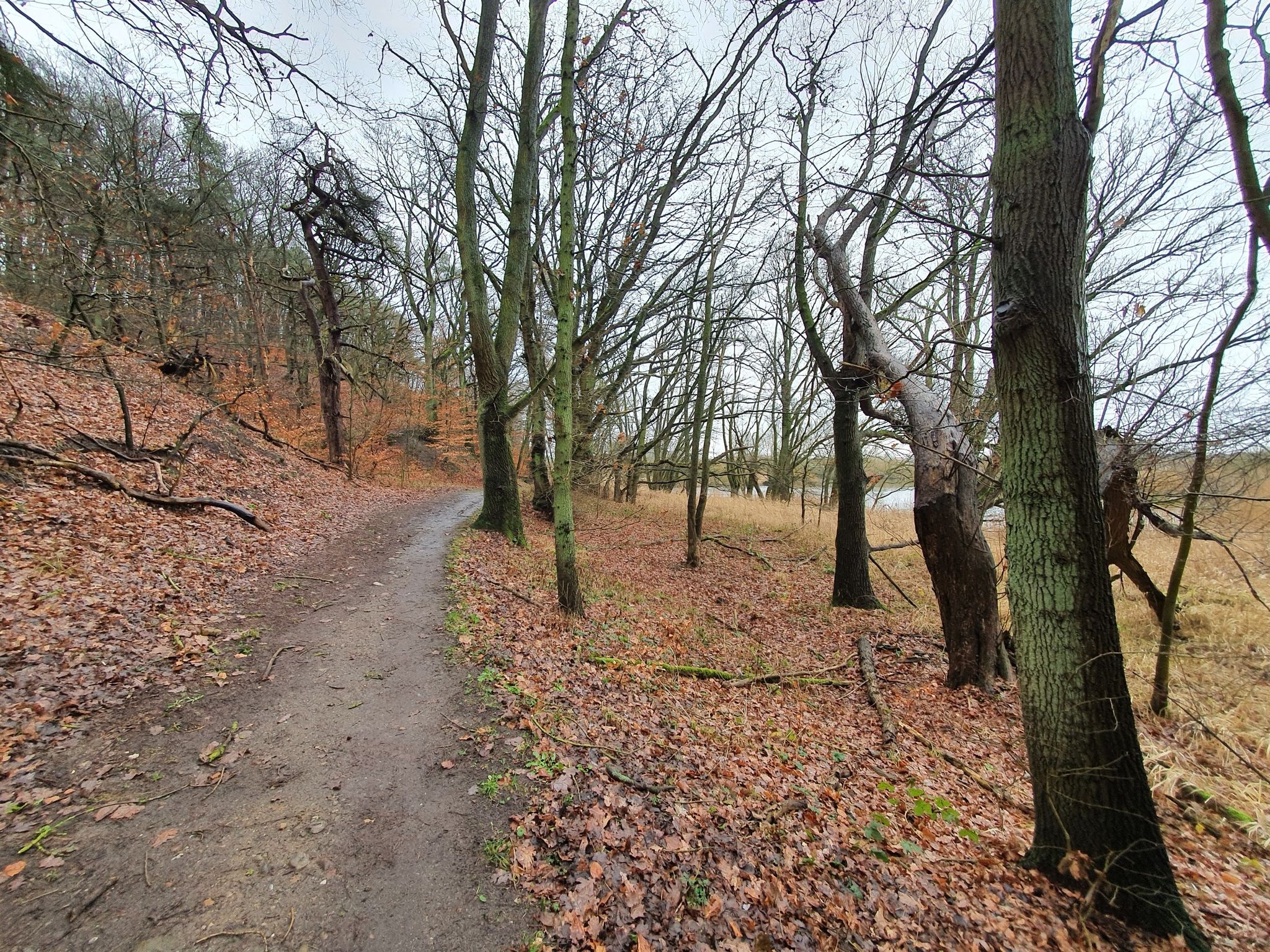 Elbuferwanderweg