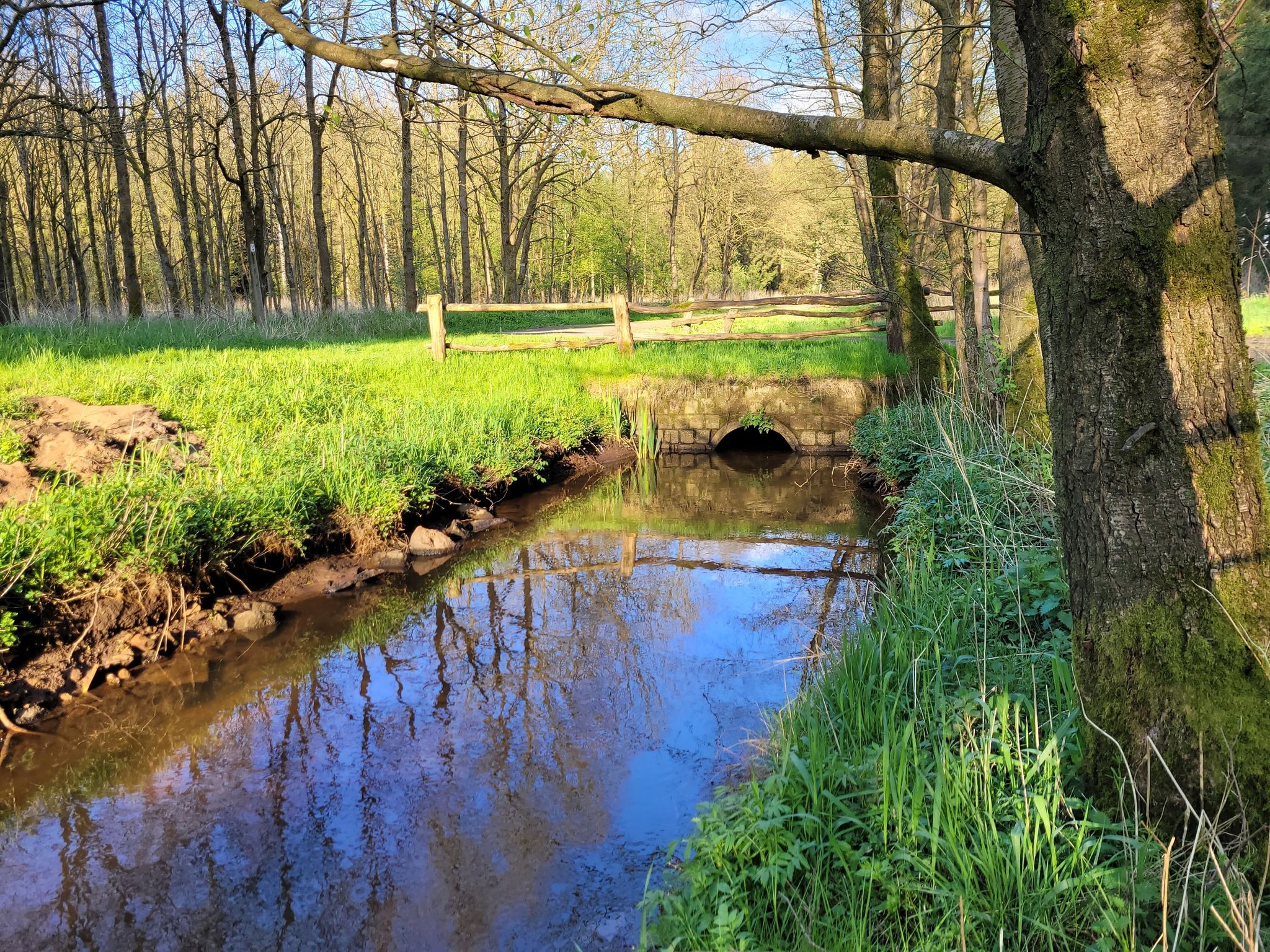 Mitbek, Nebenfluss der Höllenau. Sicherlich begradigt.