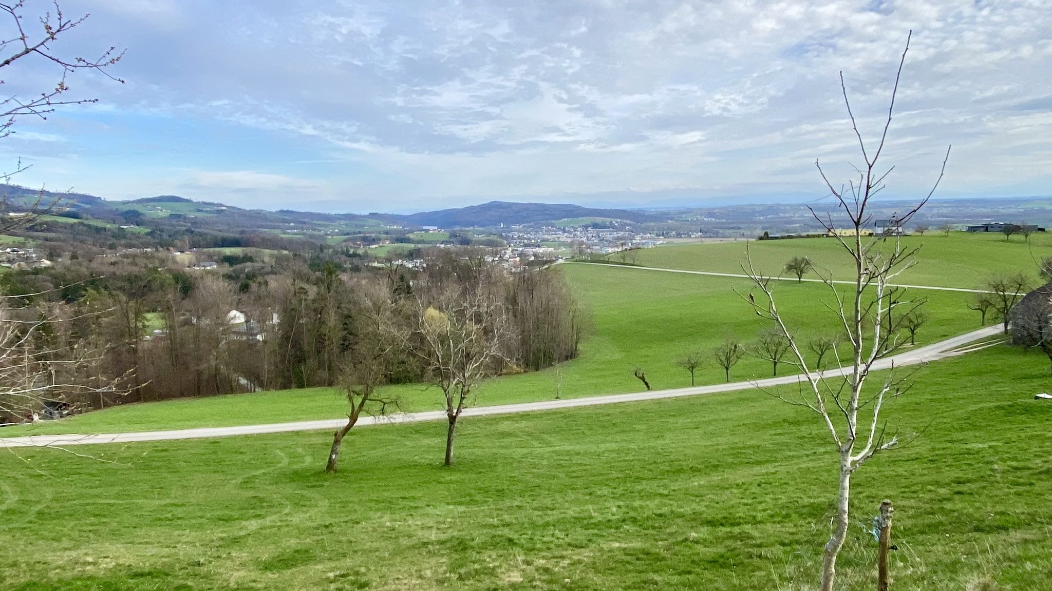 Ausblick vom Jörgensbühl