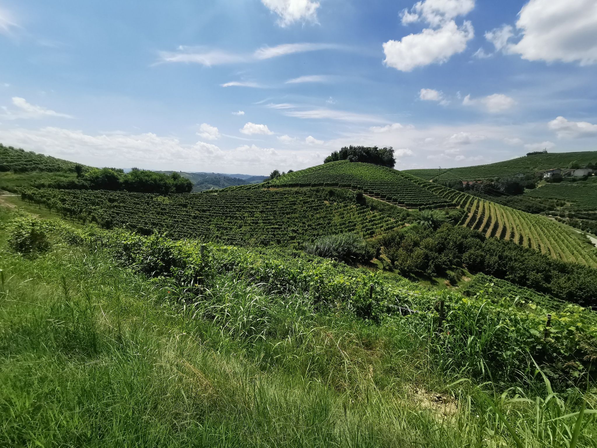 Terrazza sul Roero