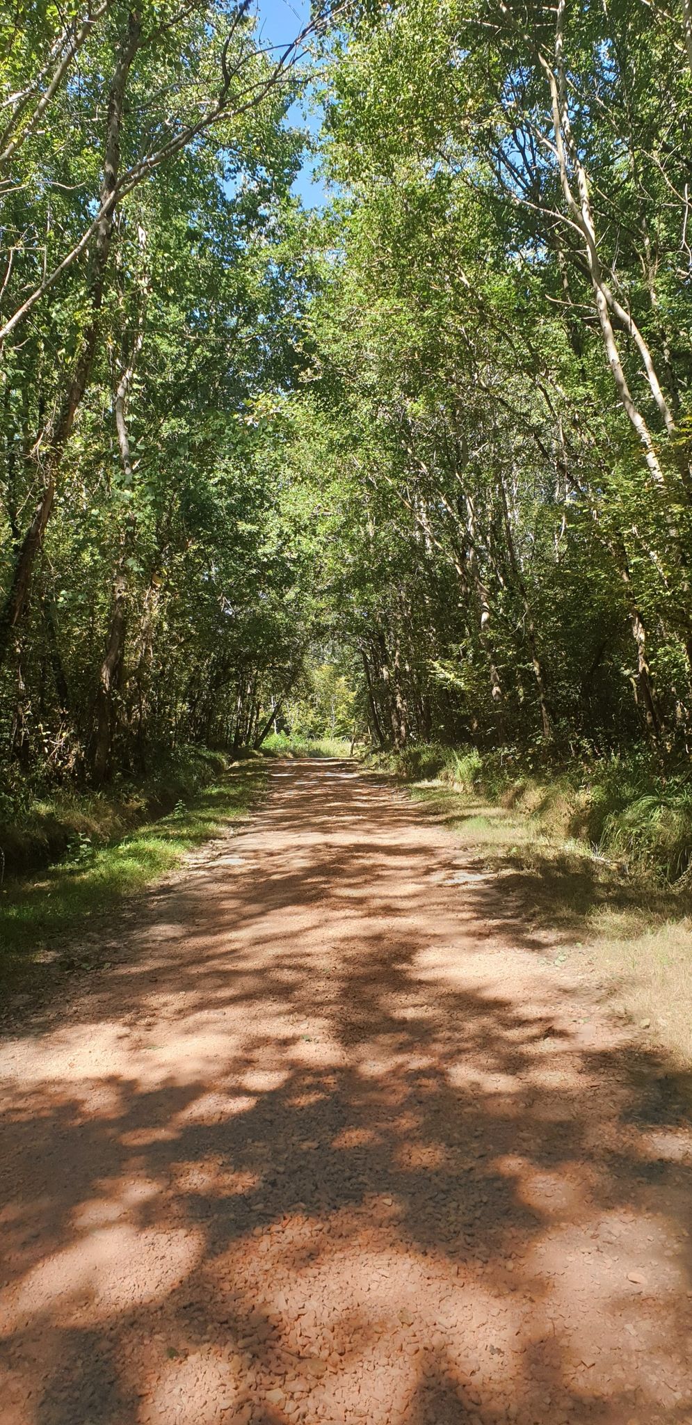 large chemin roulant