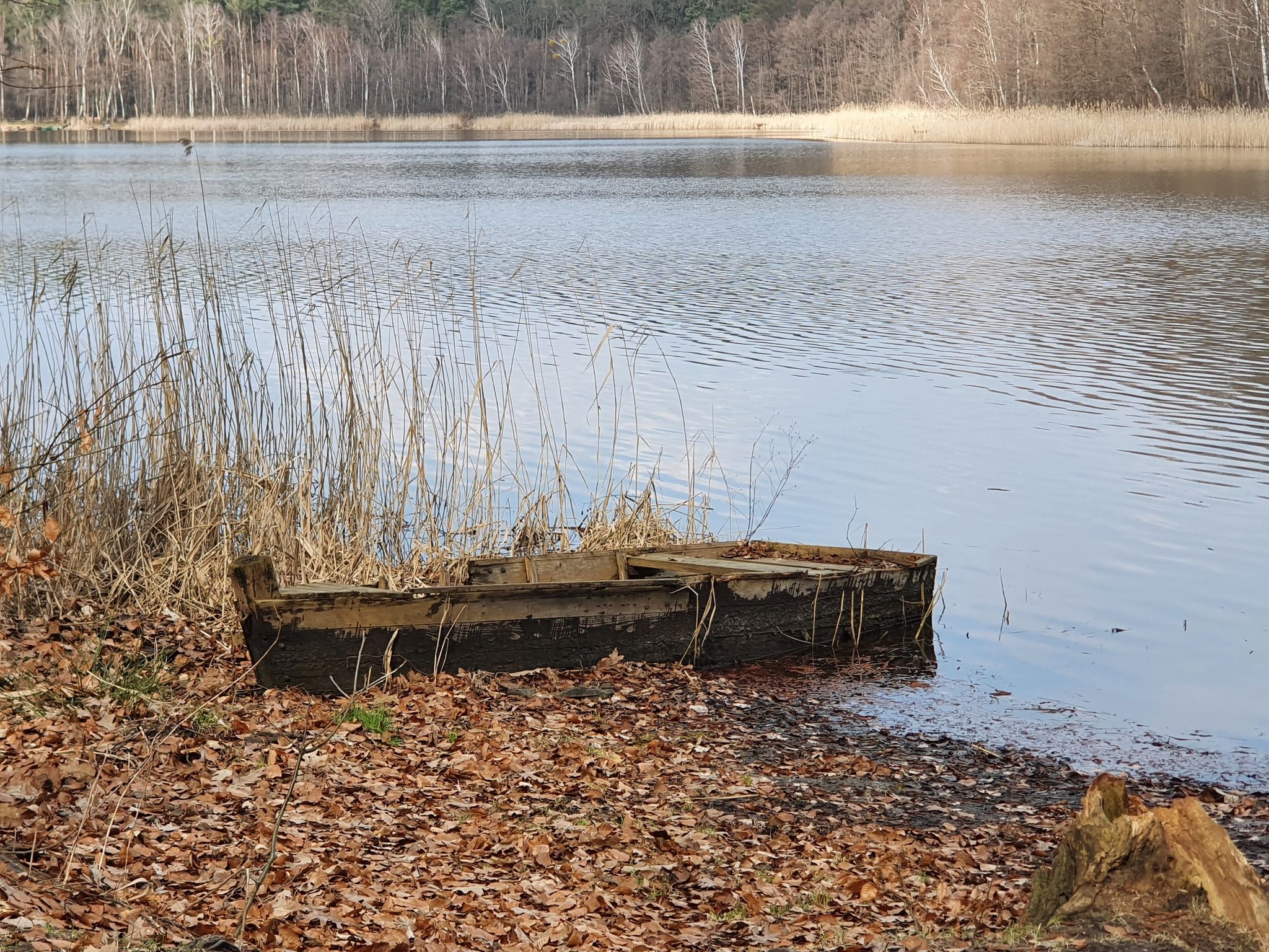 Jezioro Linie