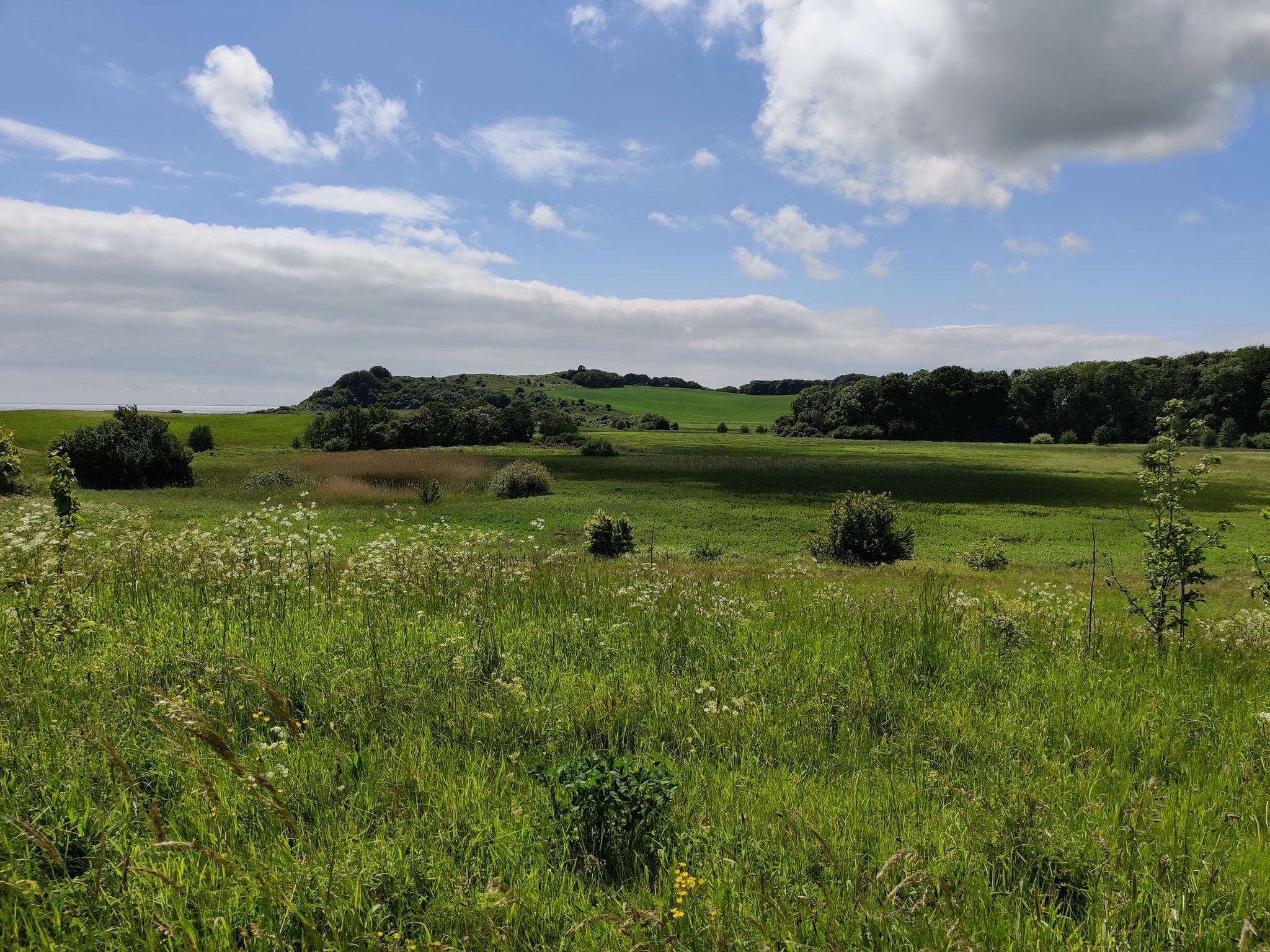 Landschaft