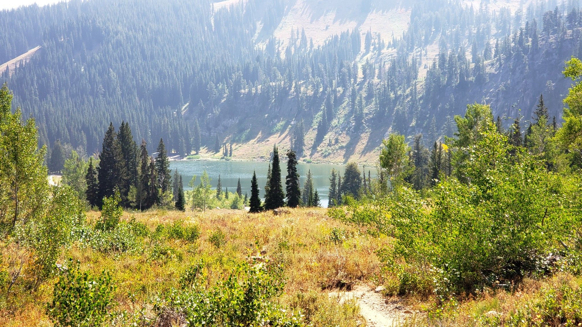 A serene mountain lake surrounded by dense pine forests under a bright sky. - White Pine Lake loop from Site 1