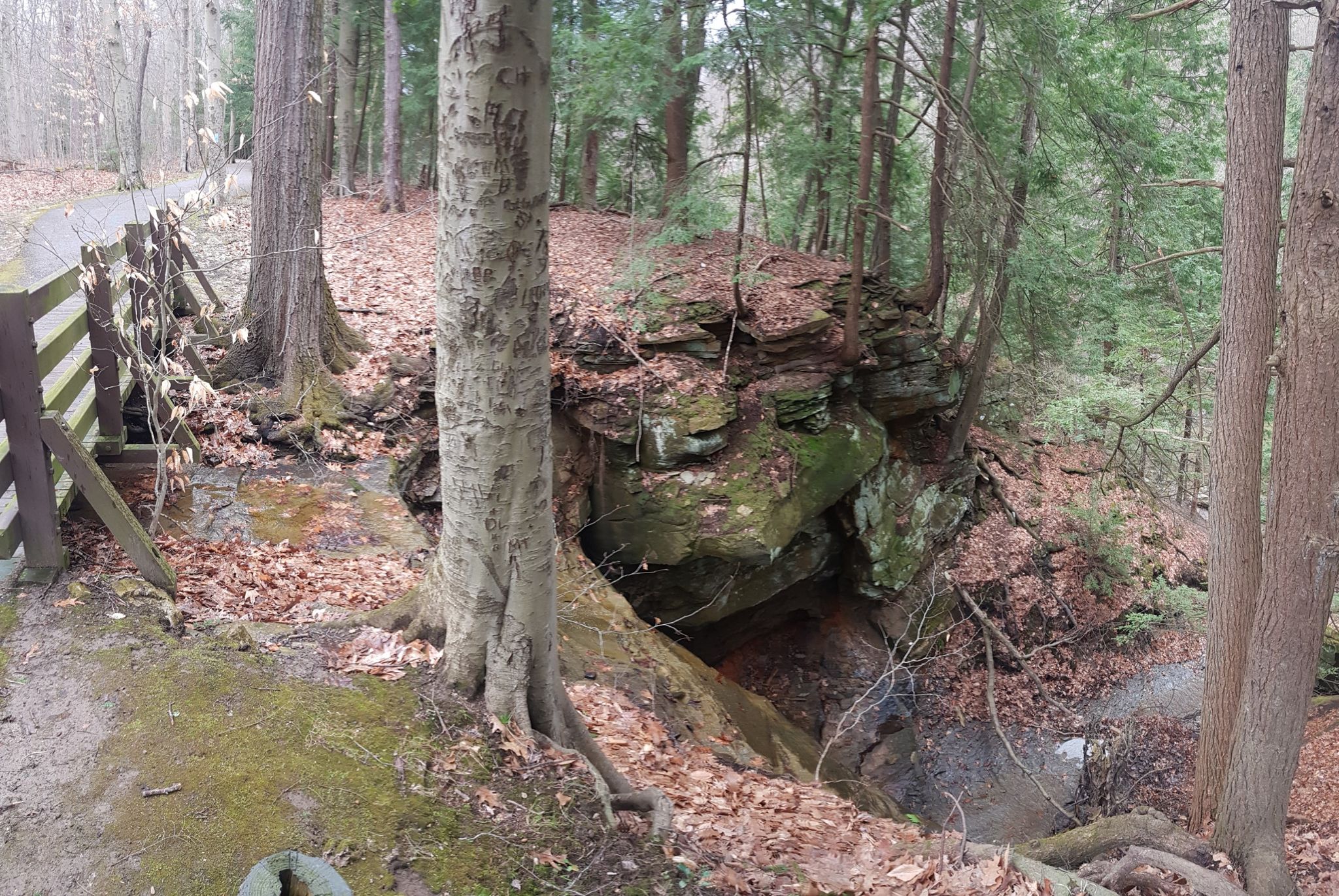 A forest path with a wooden fence, large mossy rock, and stream. - South Chagrin Reservation loop from Bentleyville