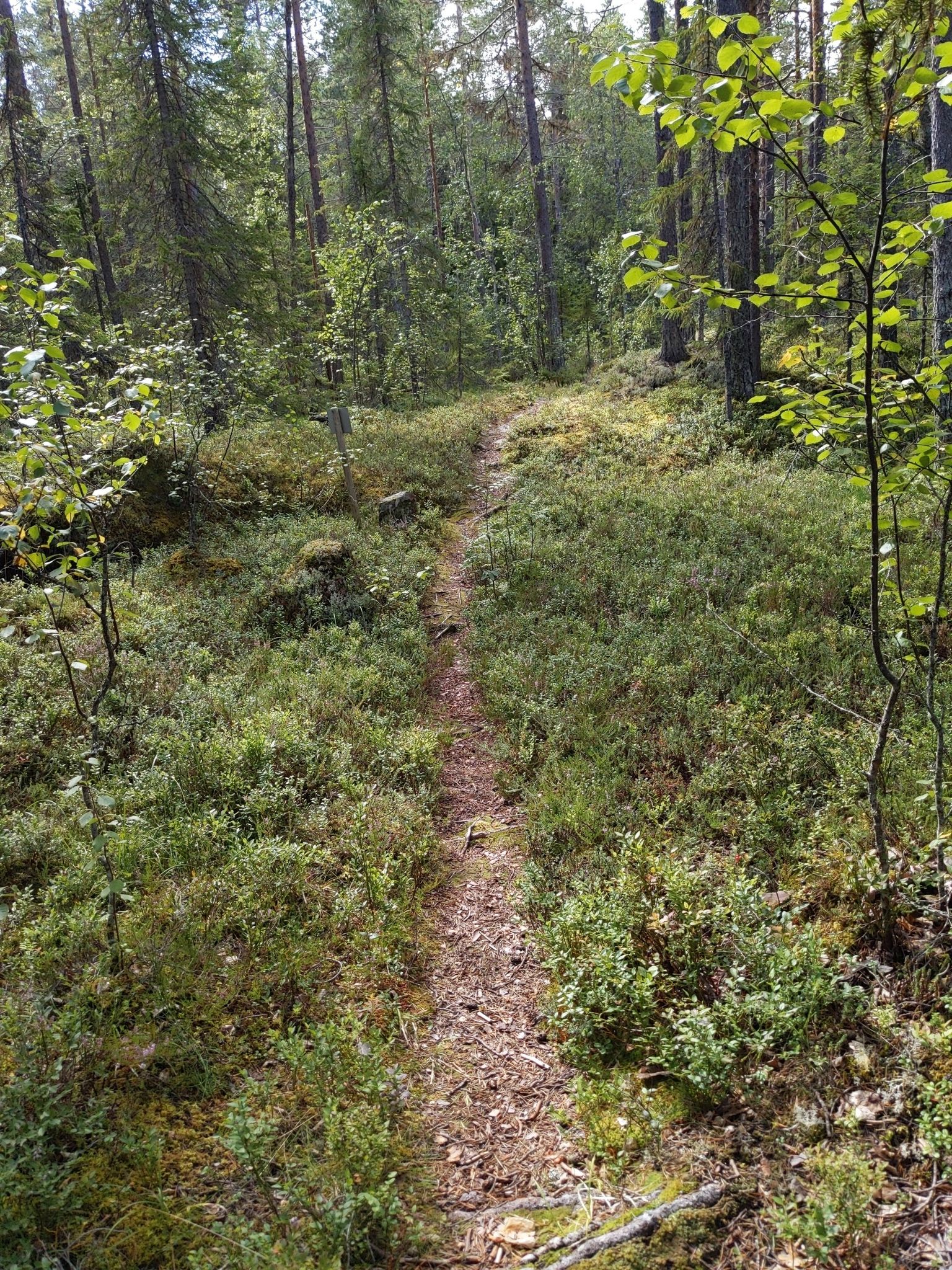 Wanderweg