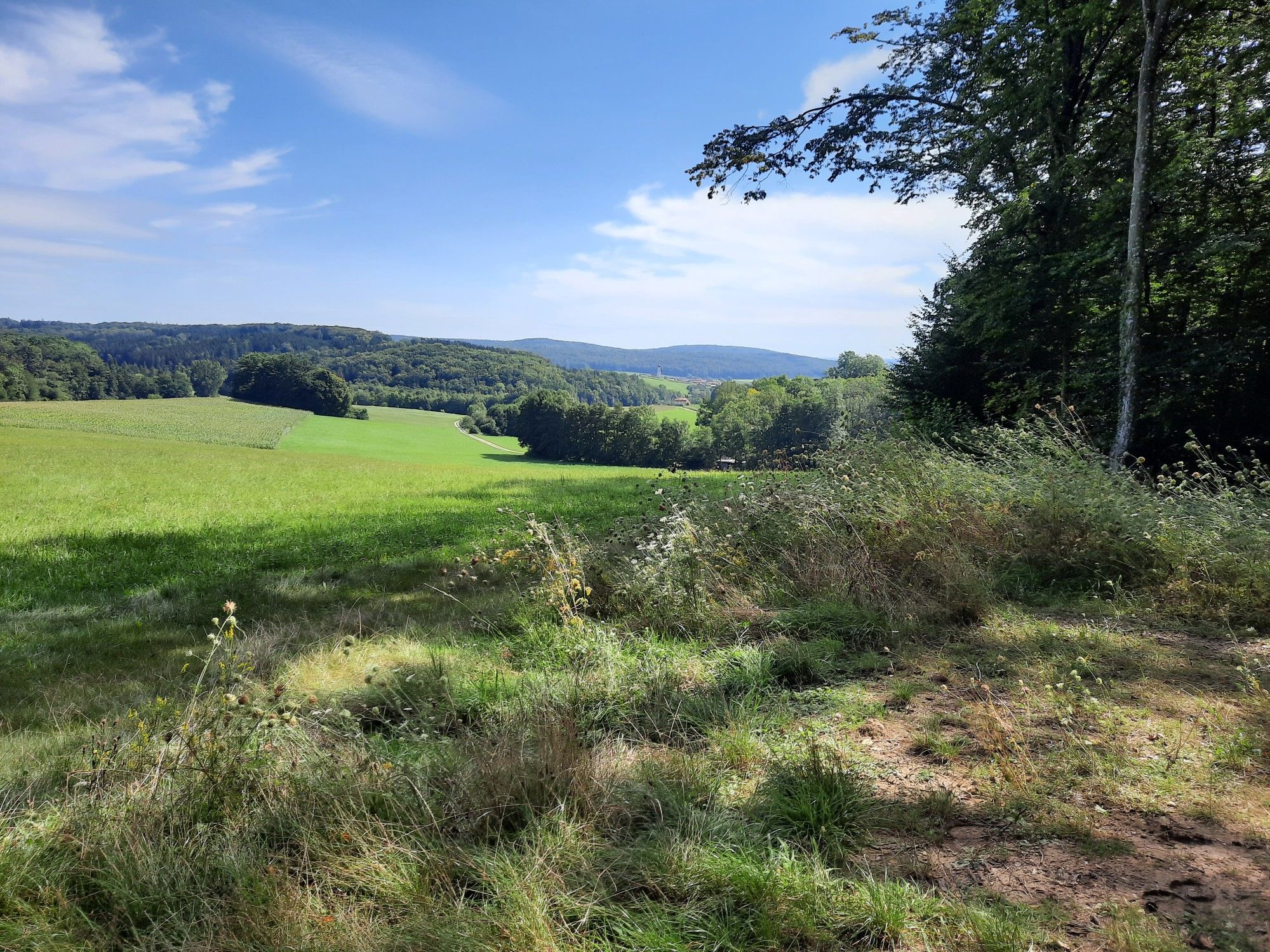 Unterliezheim 