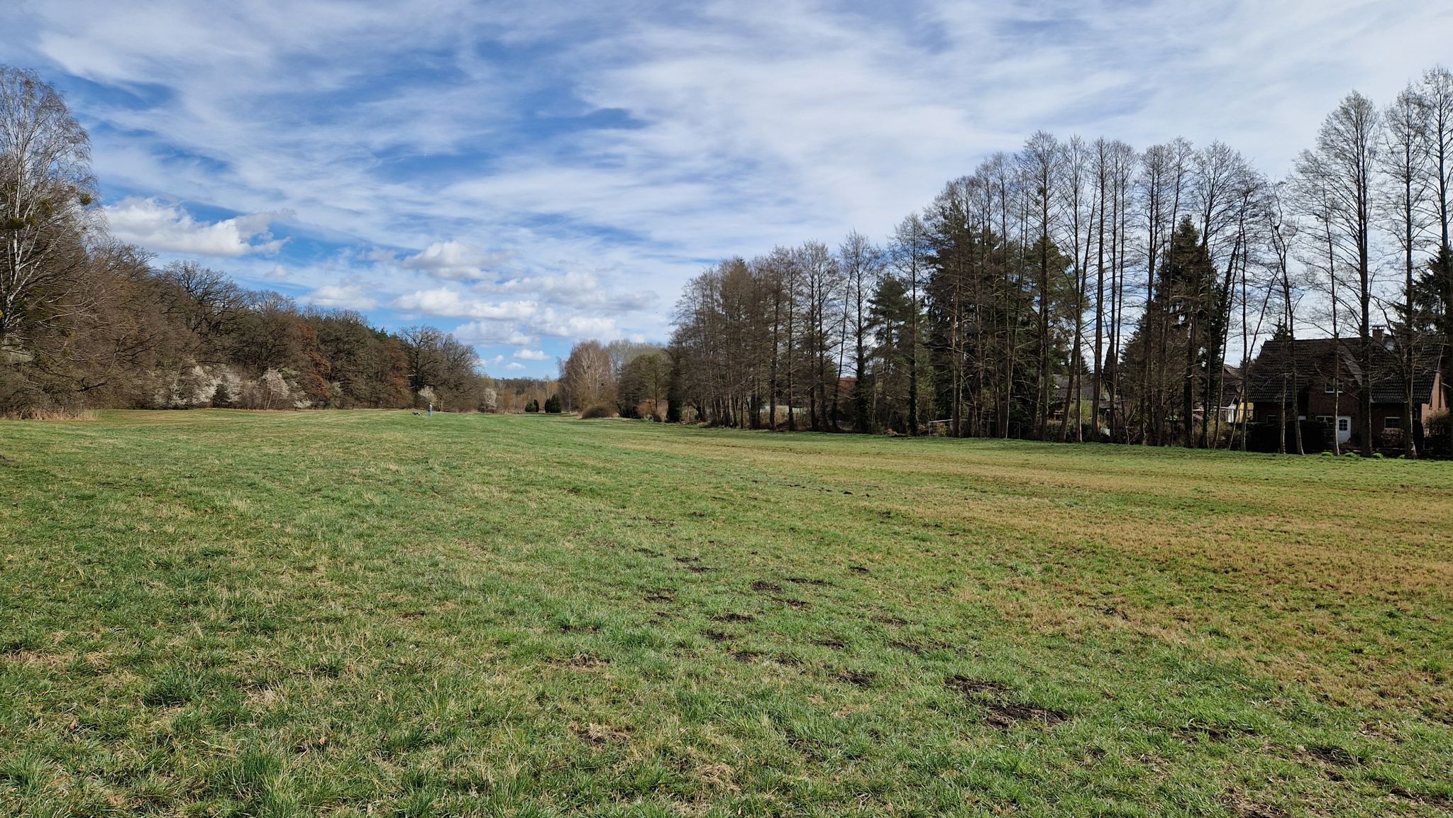 Querung der Großen Moorbruchwiese