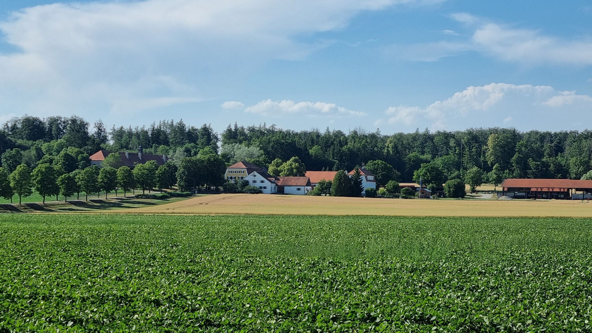 ...vorbei am Gut Westernschondorf...