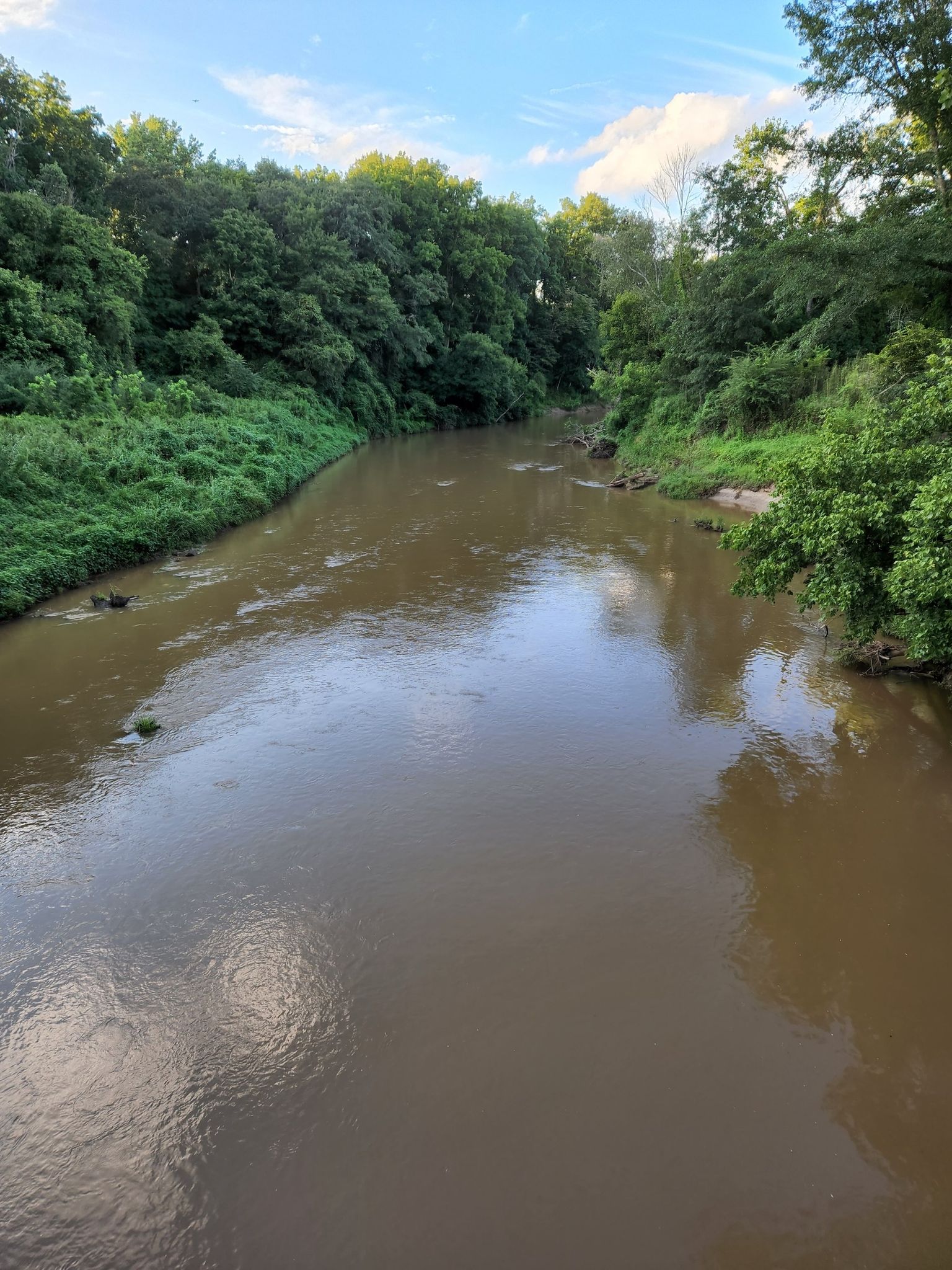 A wide, brown river flows between lush green, tree-lined banks under a bright sky. - Arabia Mountain PATH Trail – Upper Alexander Lake Bridge loop from Stonecrest Library