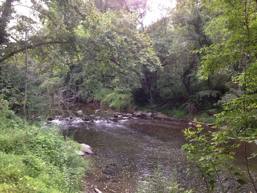 River flowing through a dense, green forest on a cloudy day. - Fair Hill Trailhead – Olan Thomas Park loop from Elkton Belle Hill Road Park & Ride