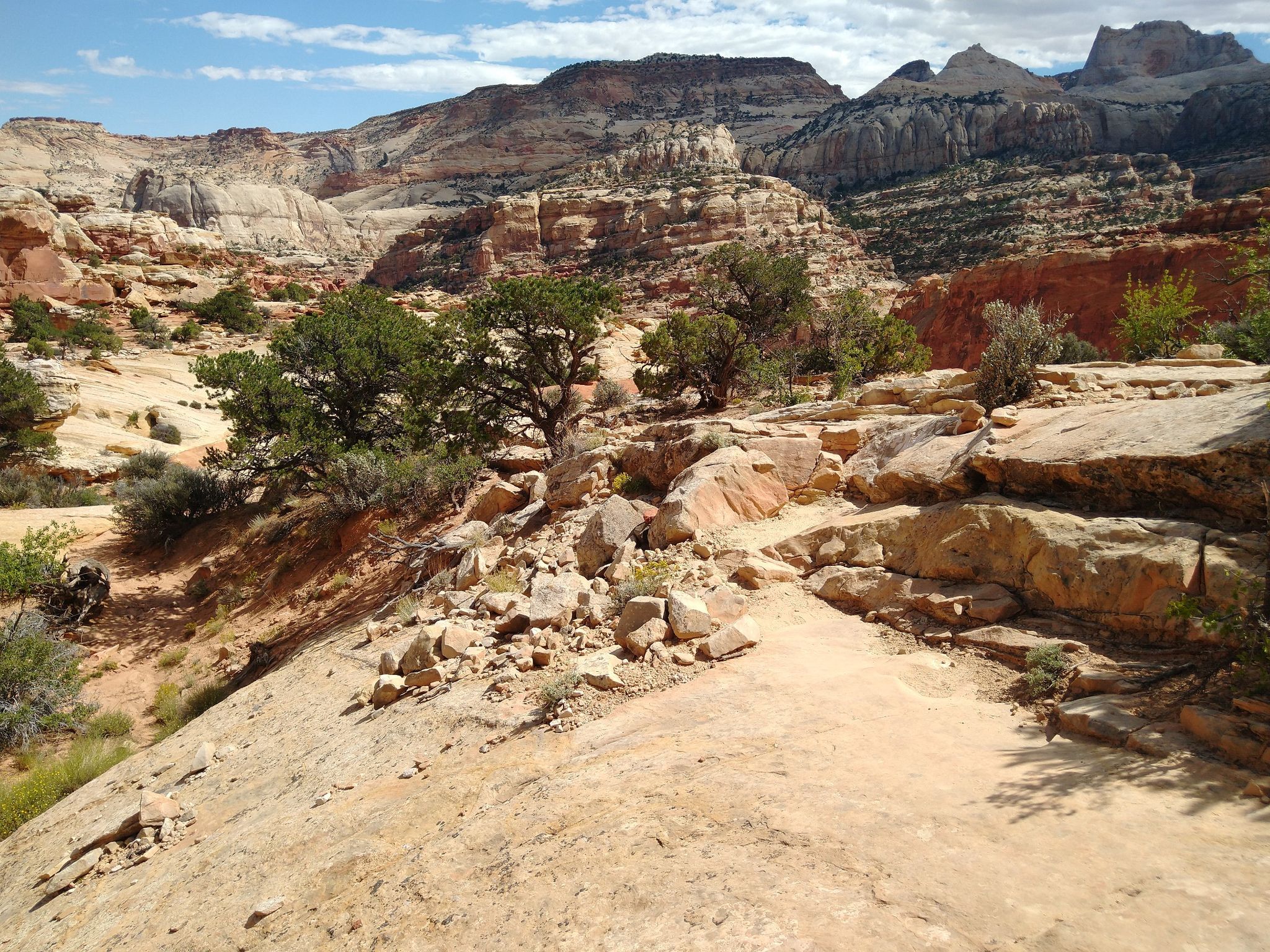 A rocky desert trail winds through scrub brush and distant layered cliffs. - Cassidy Arch Trail