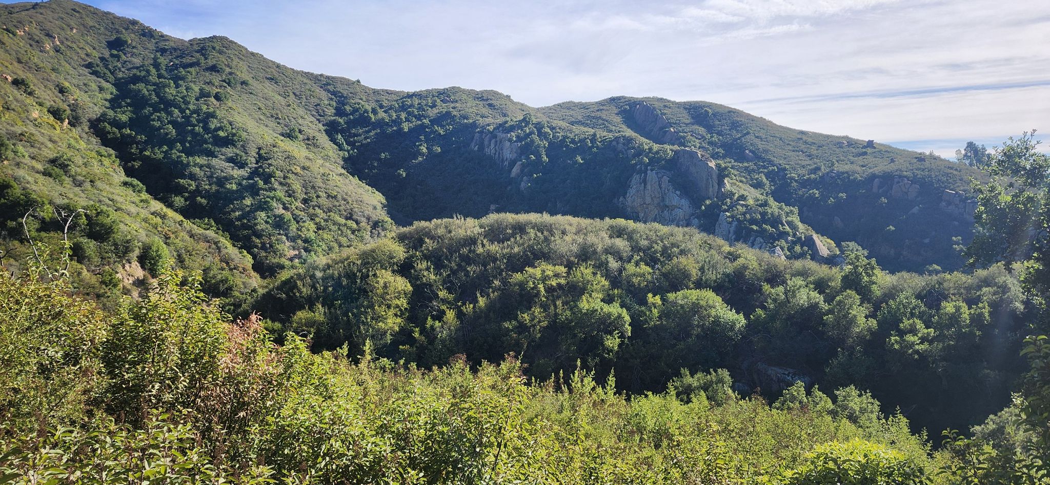 Lush green forested mountains and valleys under a bright, clear sky. - Arlington Peak and Cathedral Peak Loop