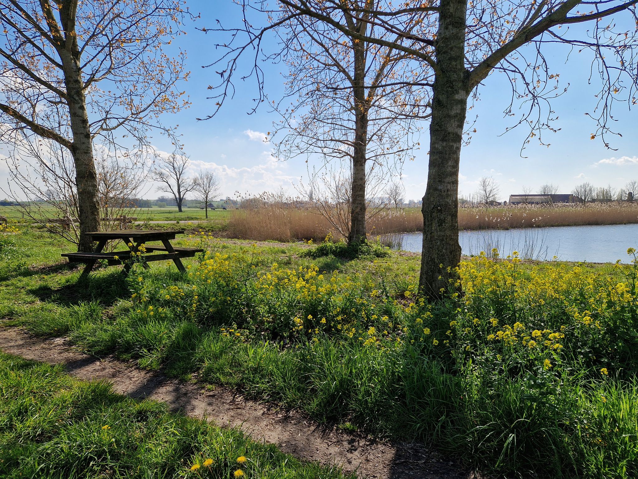 Uitblazen aan de Deinsesteenweg bij Tielt