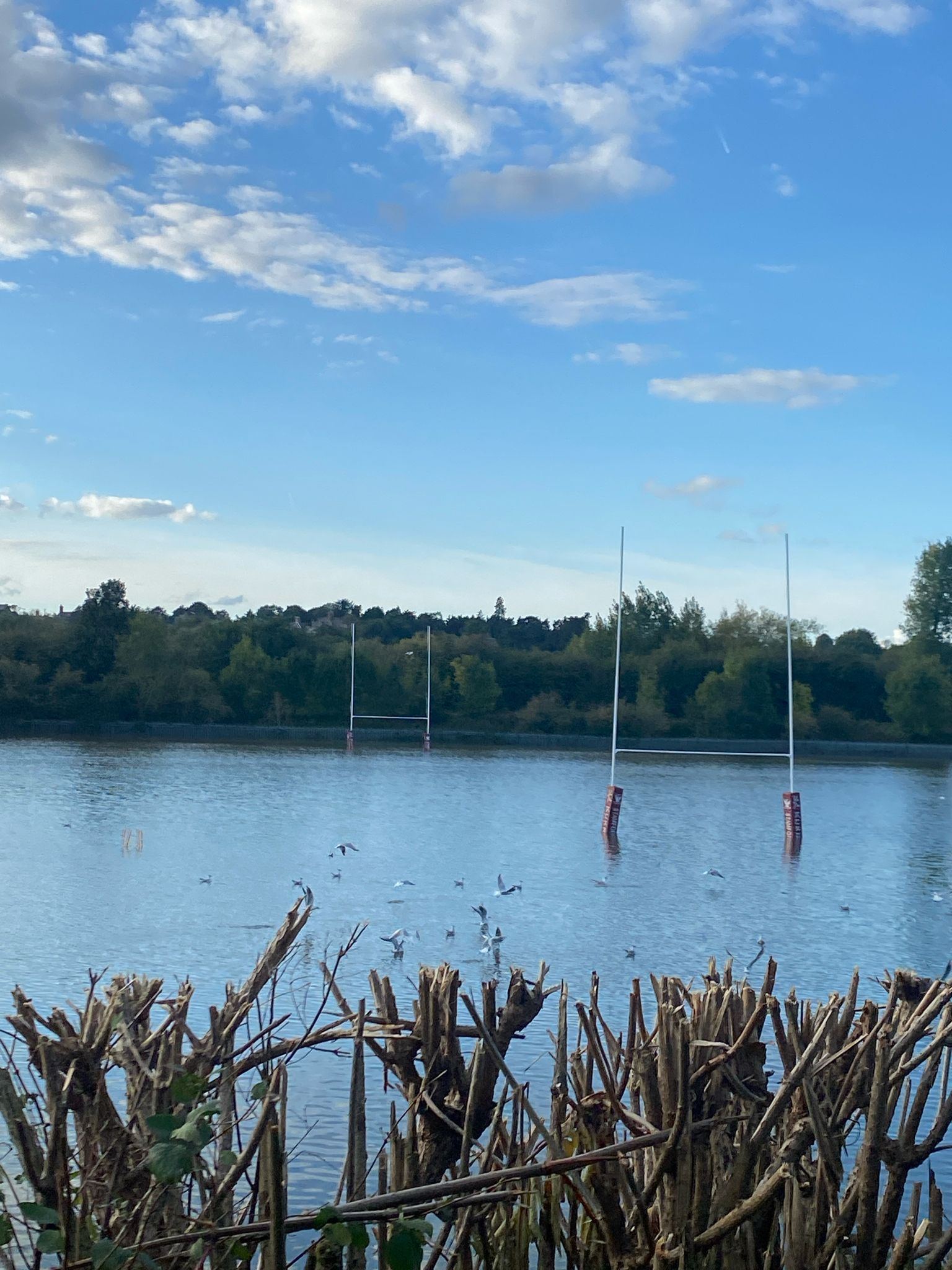 Das ist ein Rugbyfeld unter Wasser