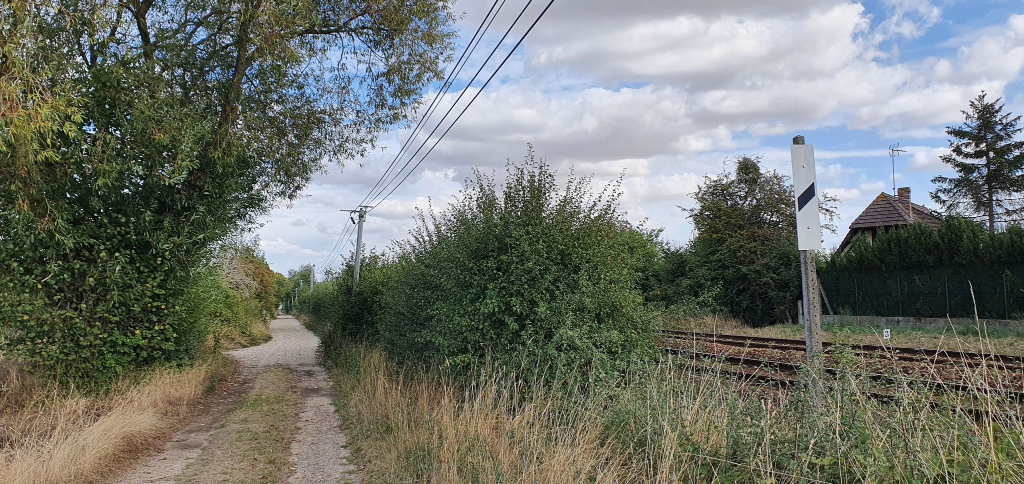 le chemin noir
