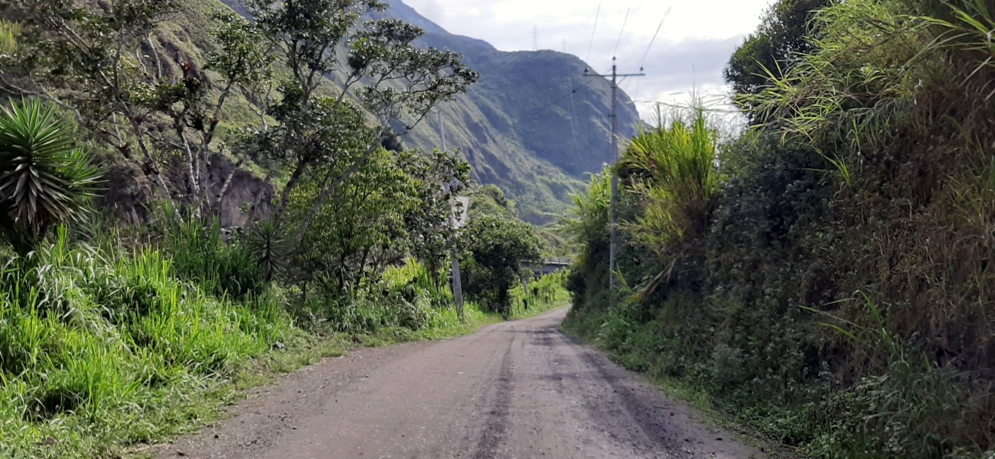 Ulba