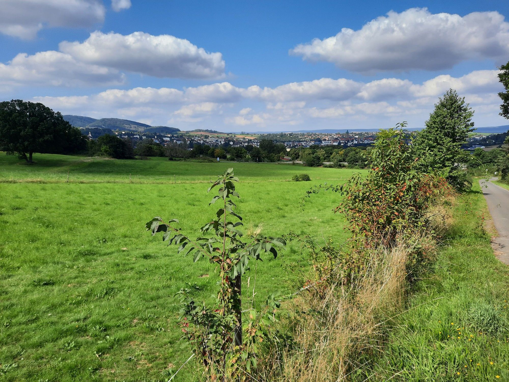  Blick auf Bad Wildungen 