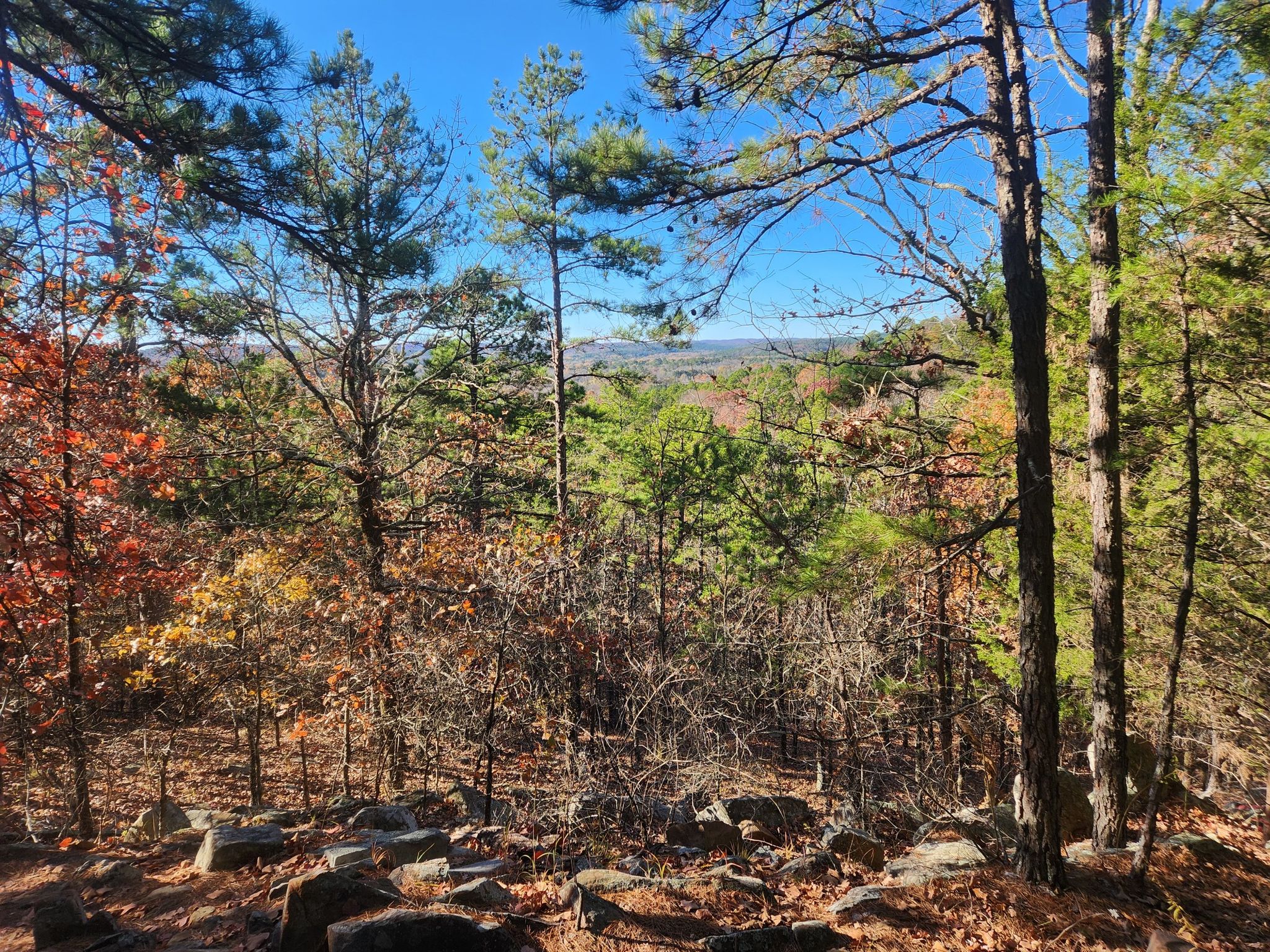 Sunny forest view with mixed trees and distant hills from a rocky overlook. - Mountainbike loop from Rattlesnake Ridge Natural Area