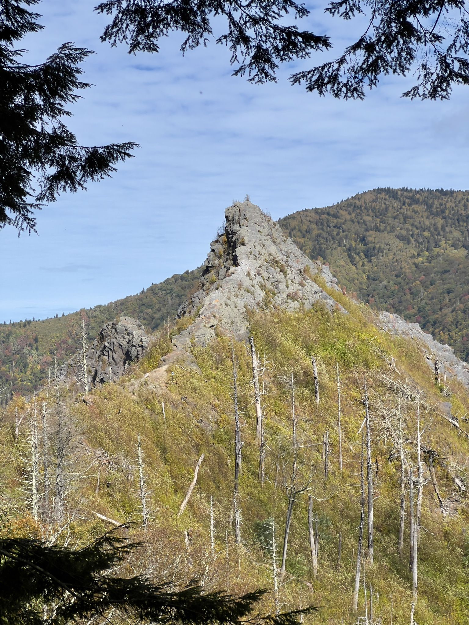Jagged rocky peak surrounded by dead trees and green foliage. - Chimney Tops Trail