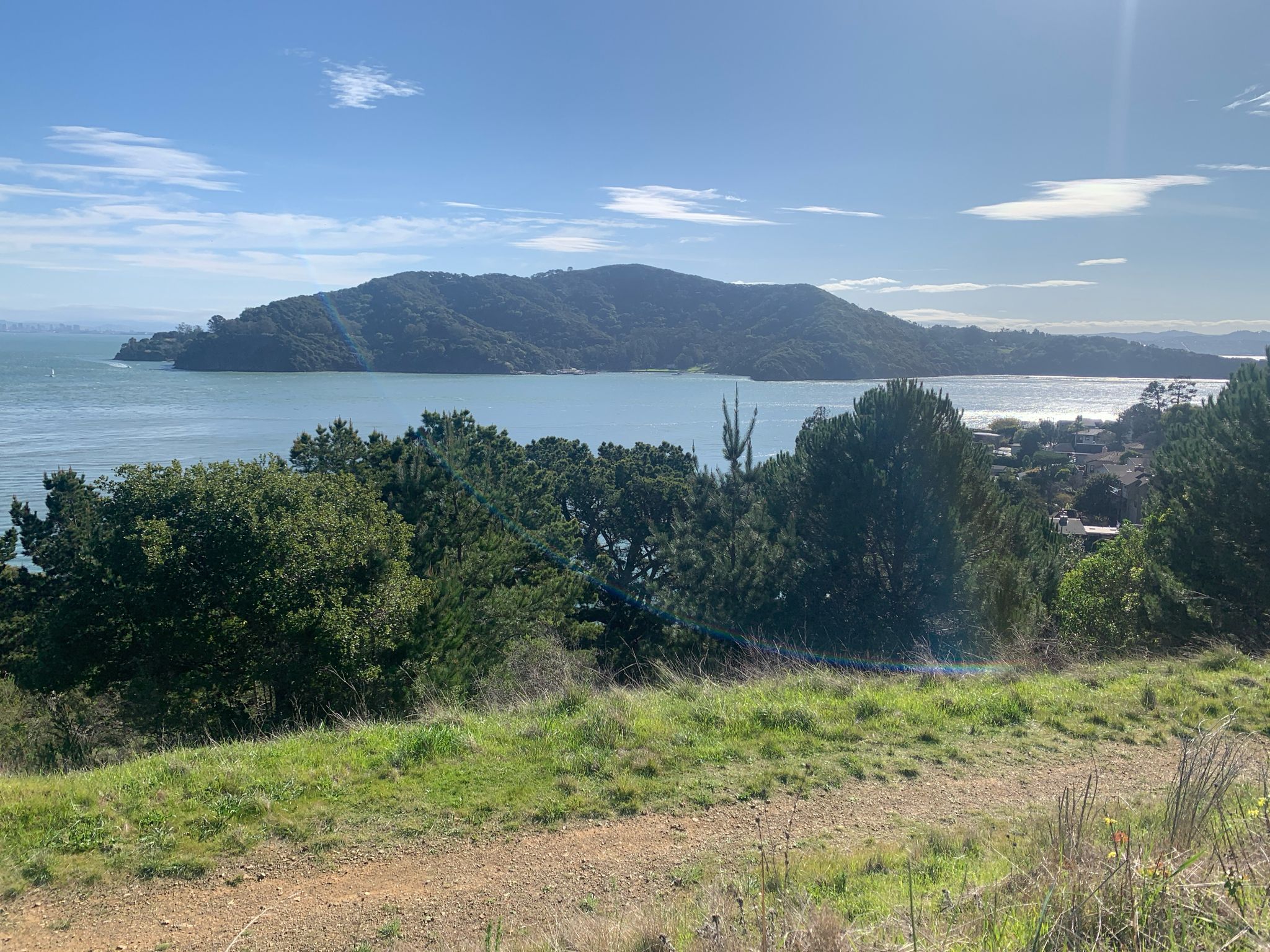 Sunny view of a bay with a large green island and foreground trees. - Spanish Loop