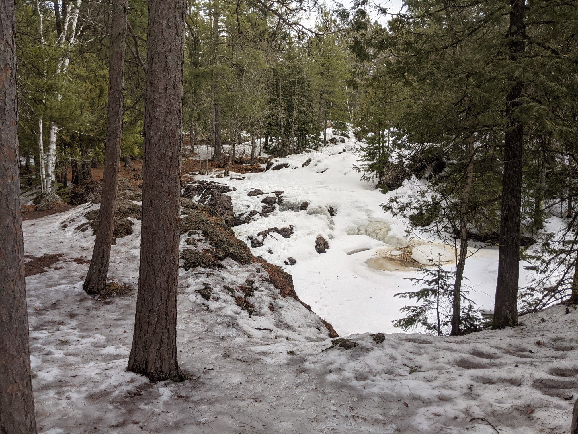 A snow-covered forest with a frozen waterfall and icy riverbed under overcast skies. - Thimbleberry Nature Trail