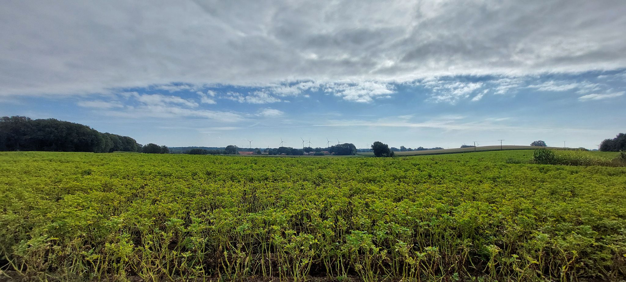 ein schöner Blick ins Emsland