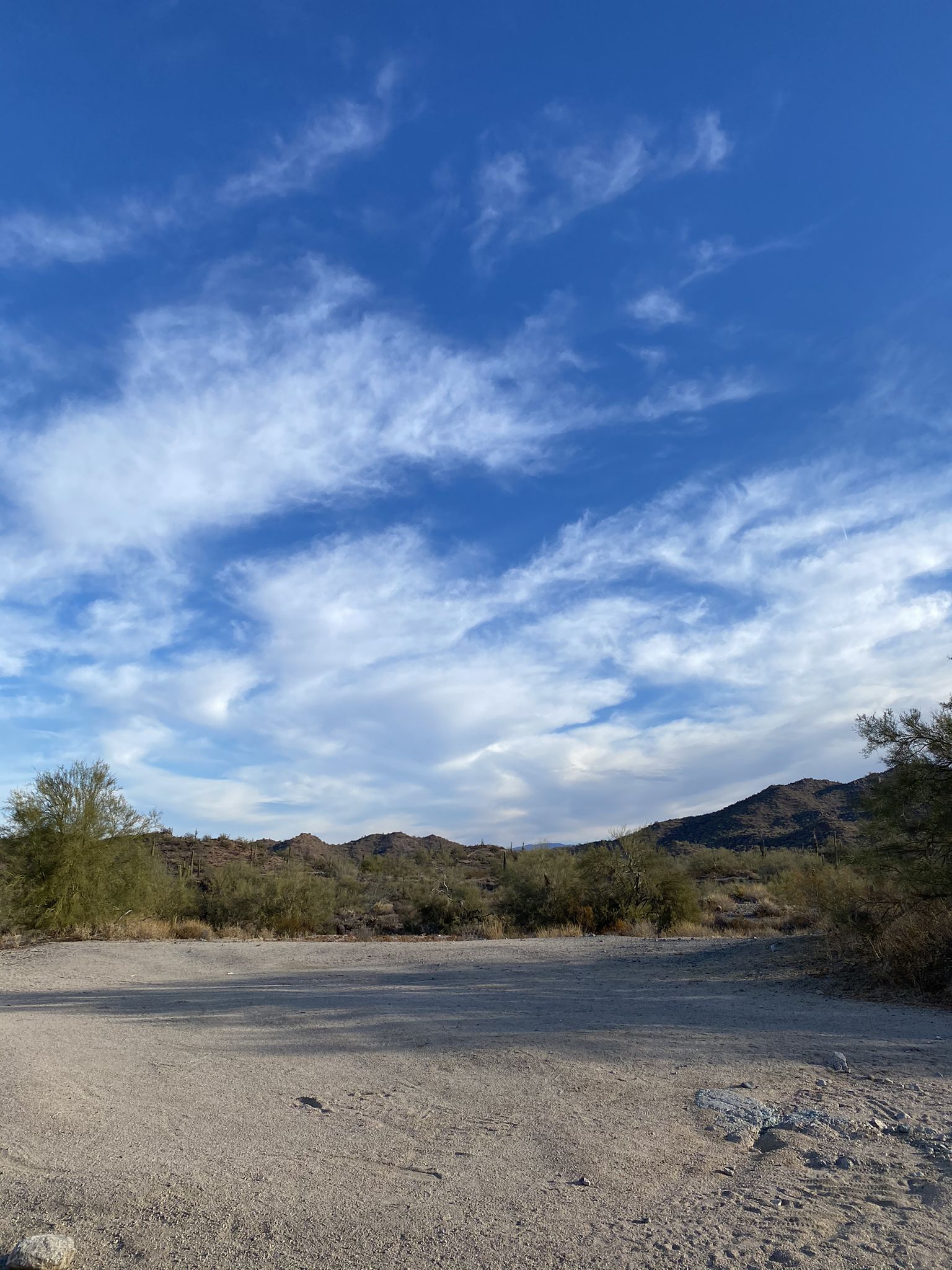 Wide open desert landscape under a dramatic blue sky with white clouds. - Hawes Trail loop from Power Road Park and Ride