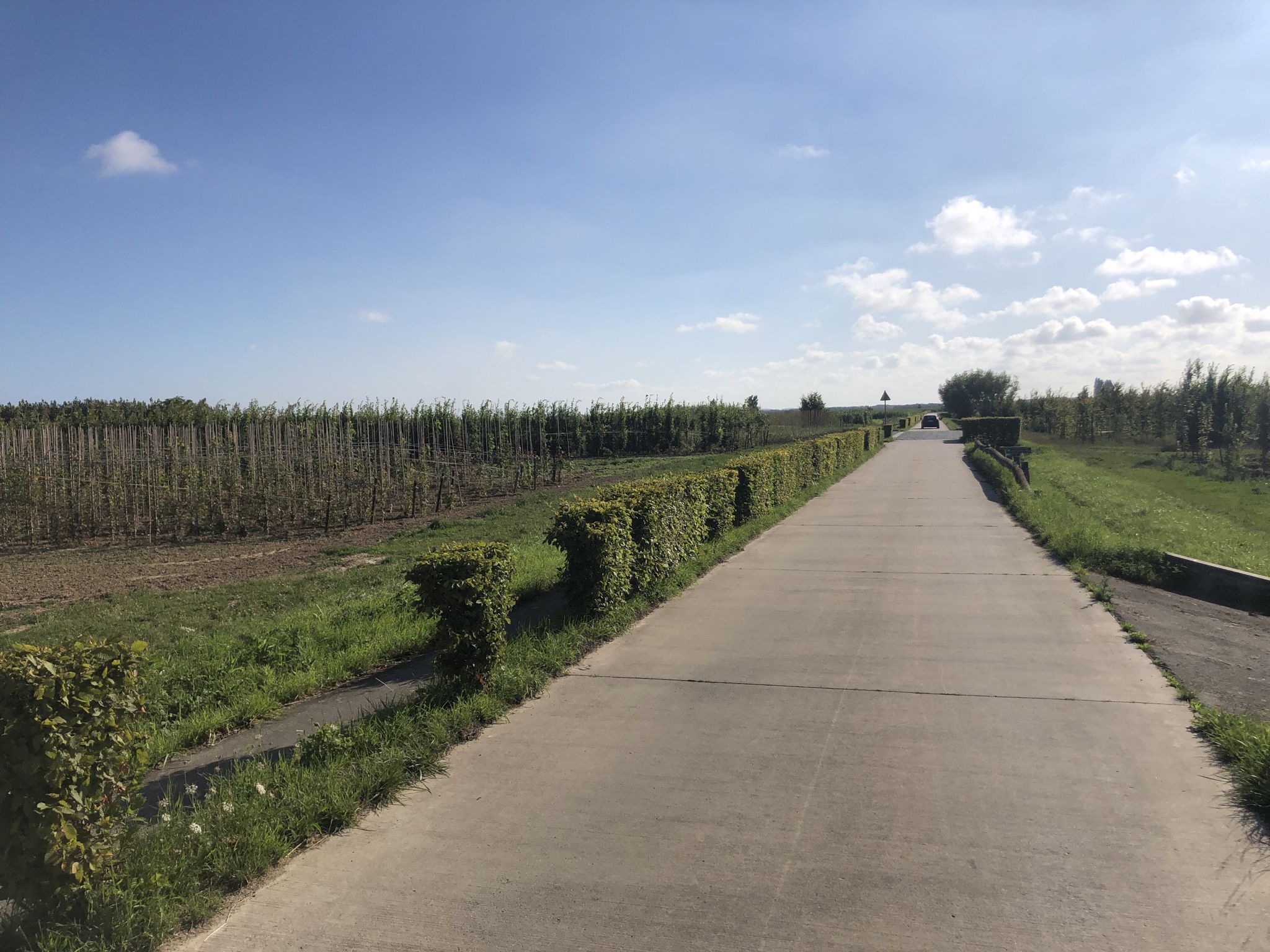 Route des plaines de Lescourt