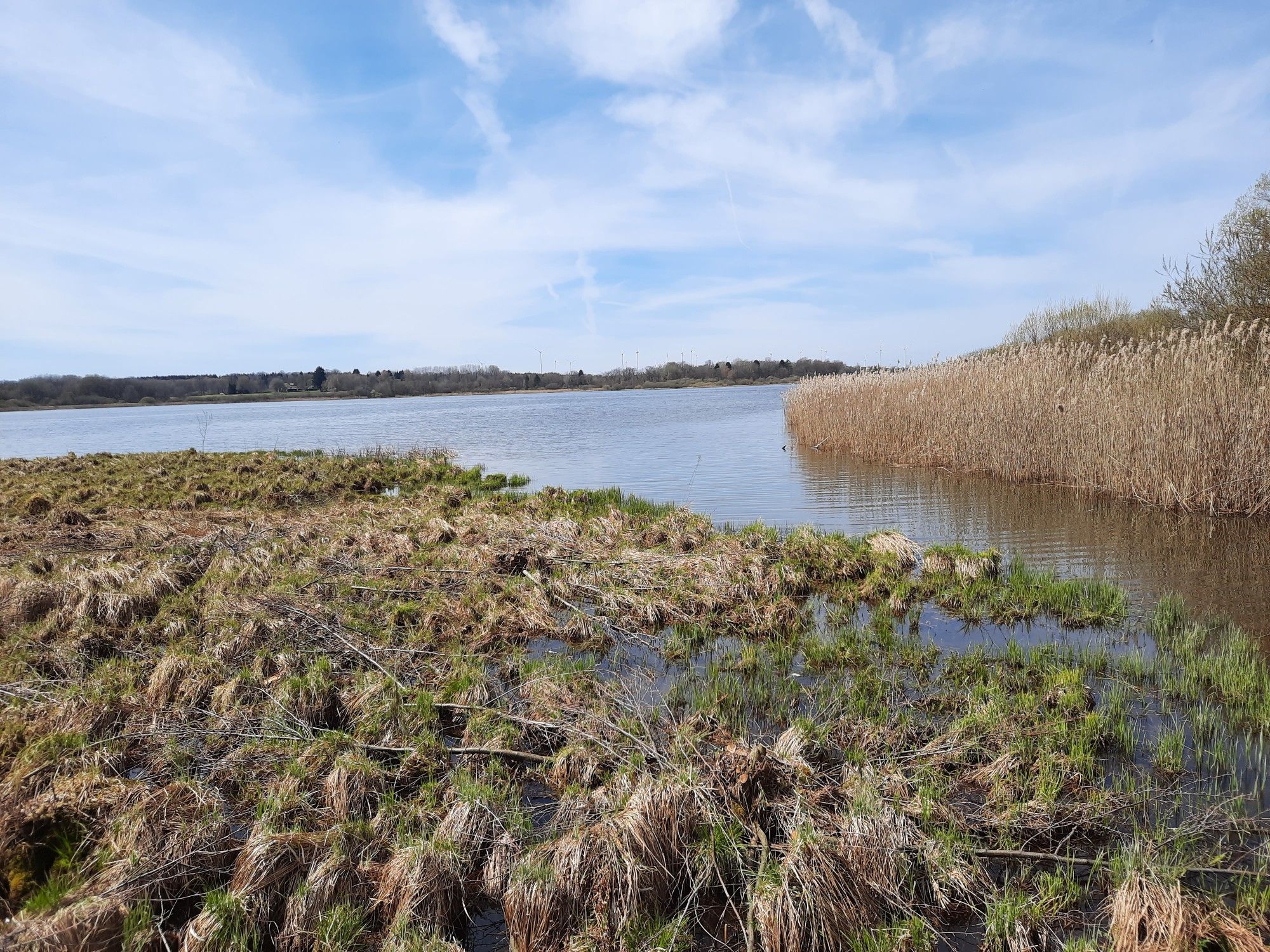 dreifelder weiher