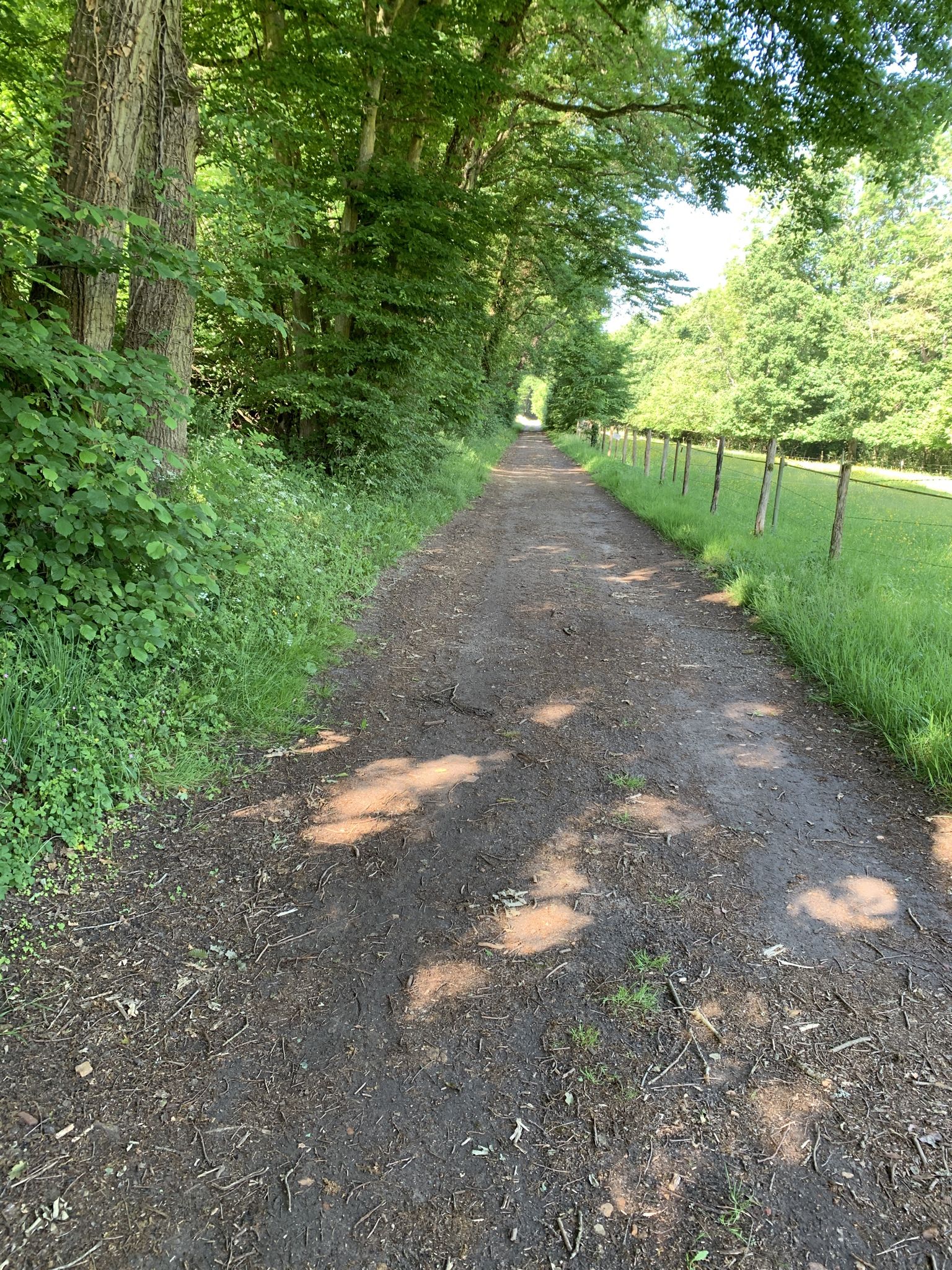 Entre Villeconin et Venant, chemin de la Motte